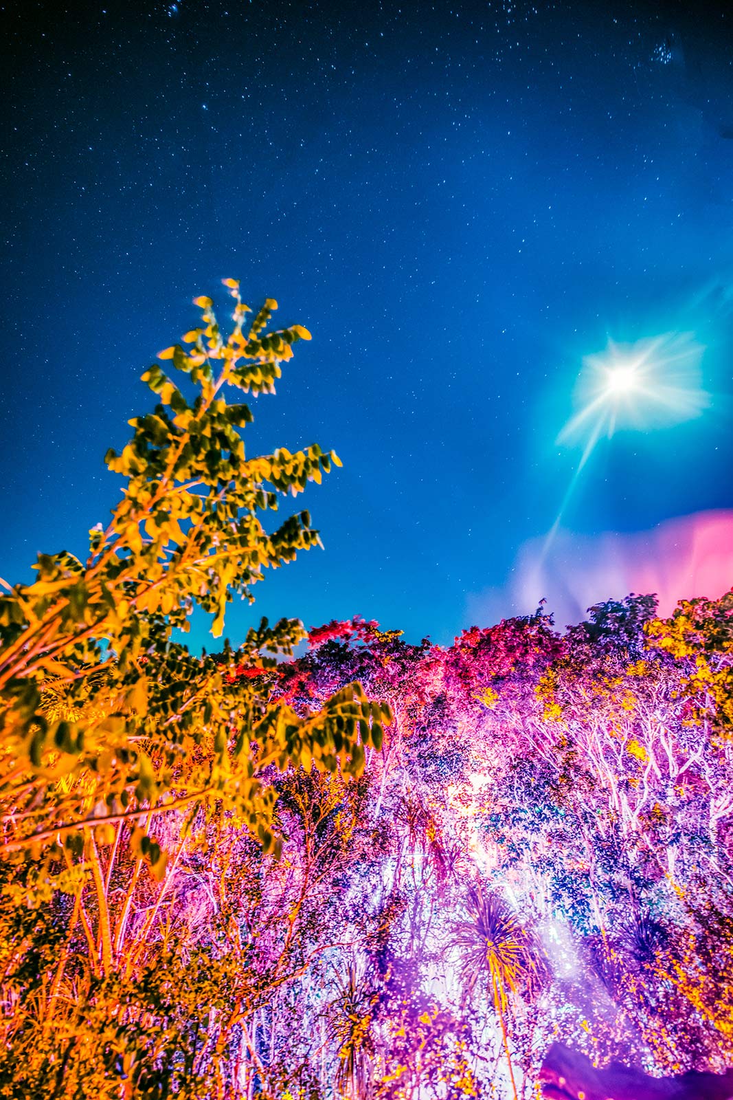 Damian Lazarus on the return of Day Zero, the music festival designed around cultural connectivity