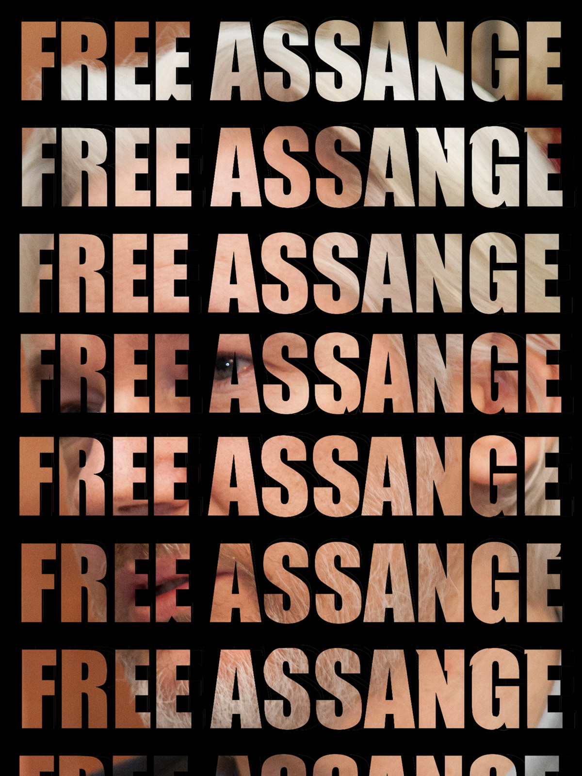 AssangeDAO imagines the social justice potential of online collectives