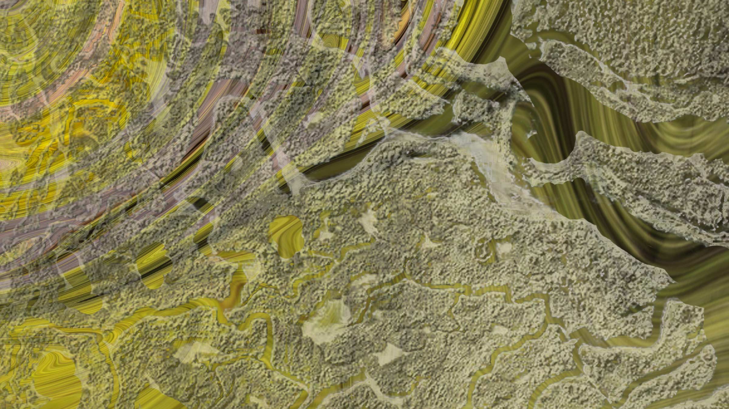 Federal refusal to protect the Florida-Georgia marshlands highlights the importance—and limitations—of public interest