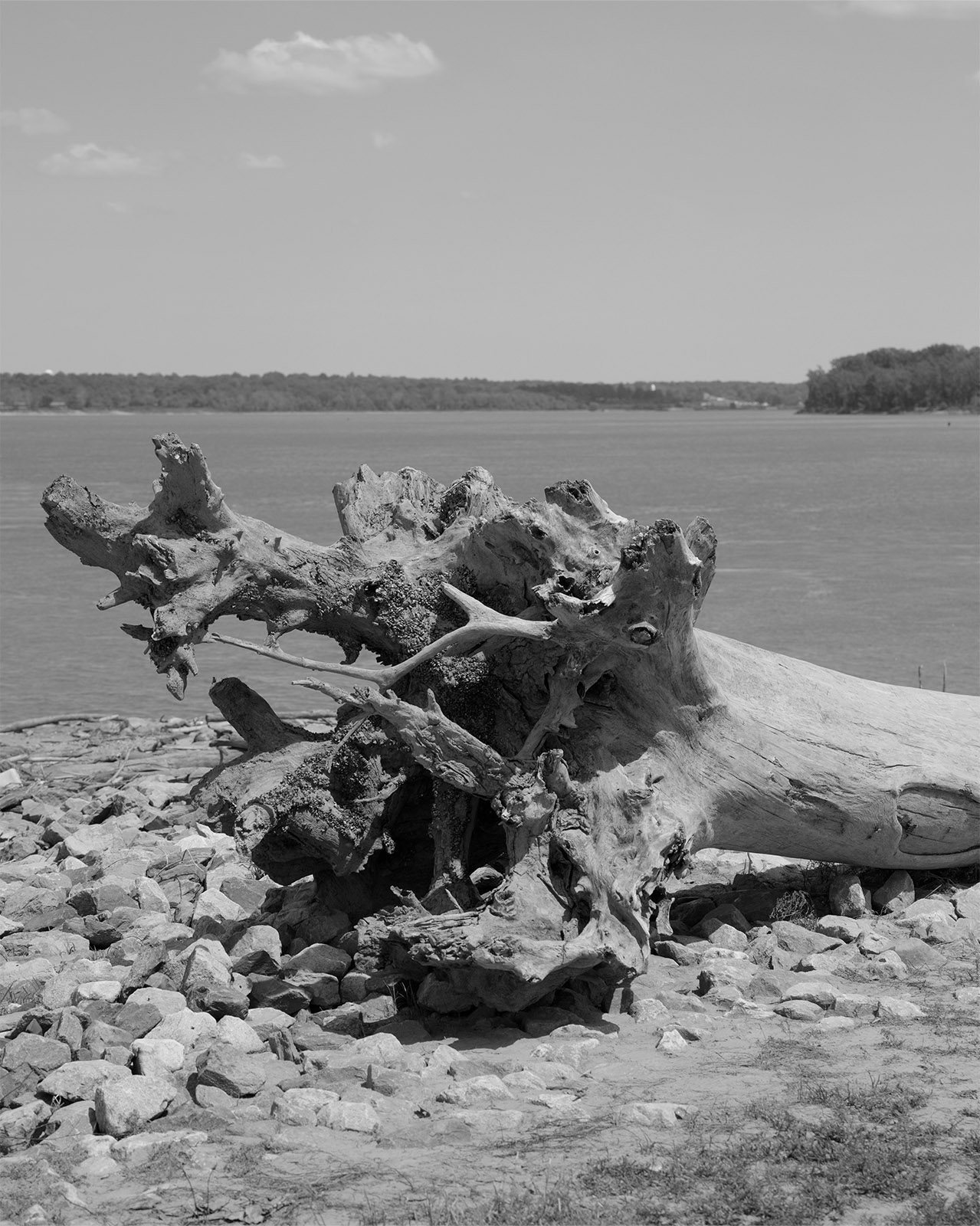 Why Virginia Hanusik wants to humanize natural disaster