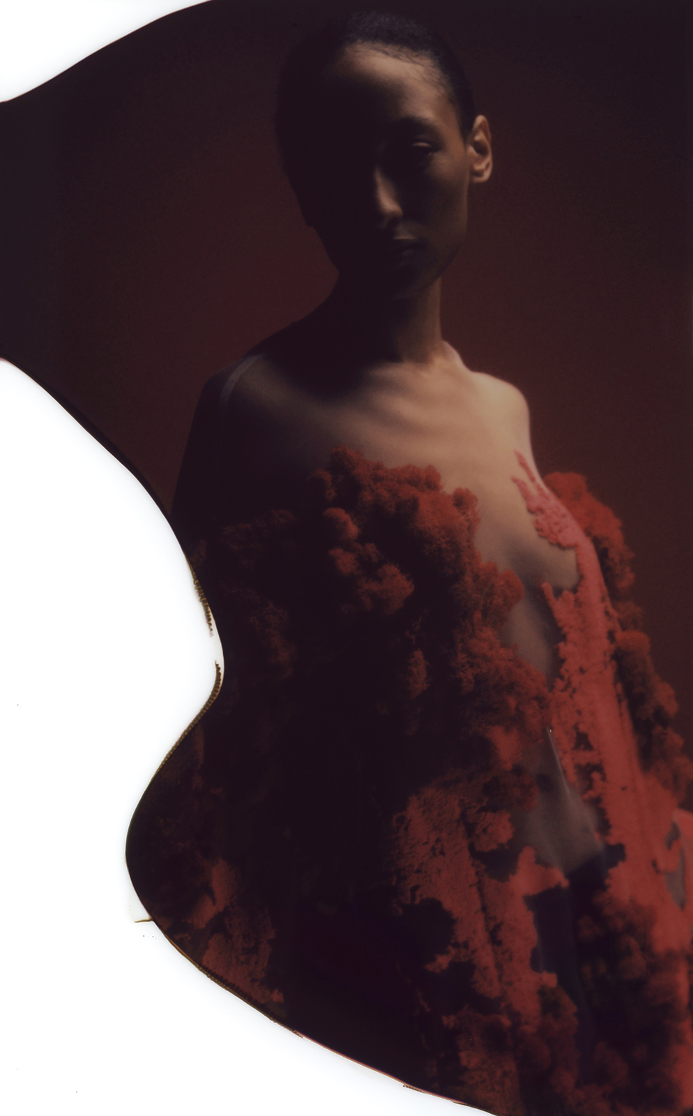 Piero D’Angelo imagines a future where you can grow your own garments