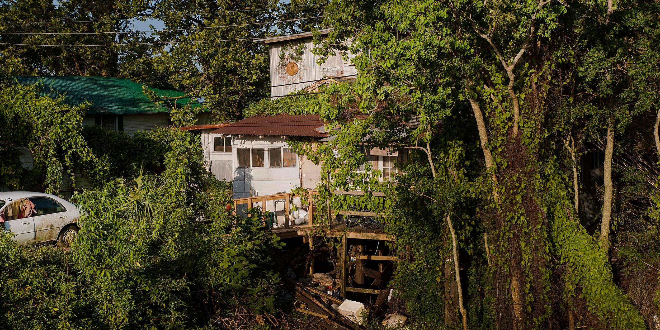 Why Virginia Hanusik wants to humanize natural disaster