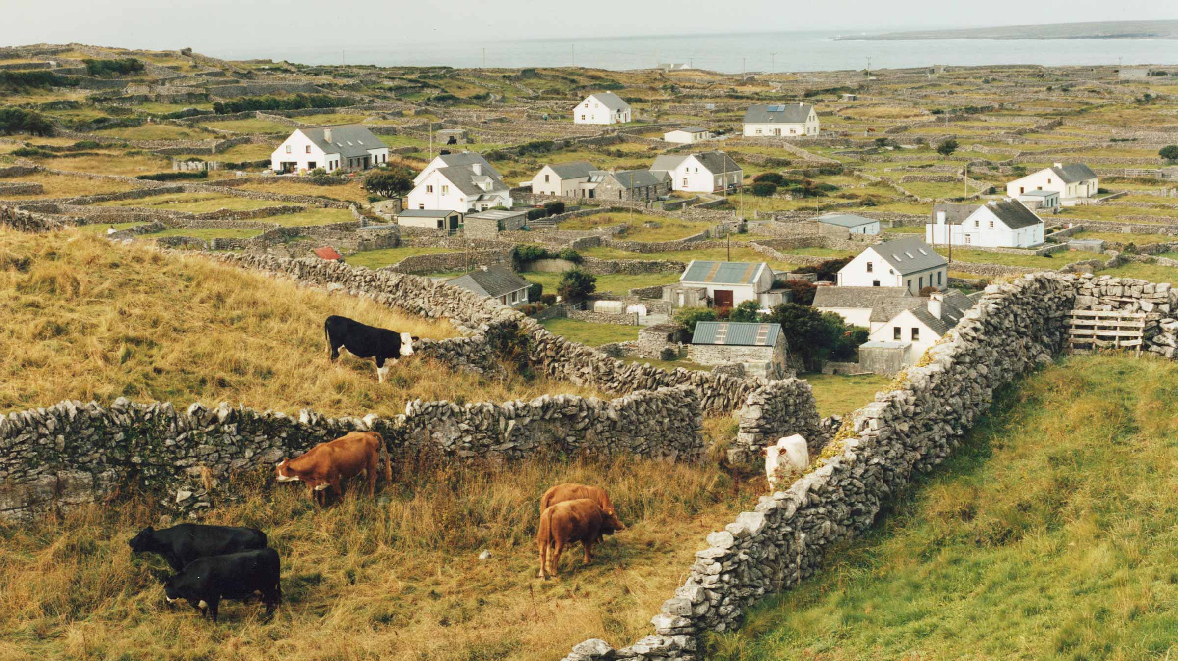 Photographer Chad Unger evolves in unison with his work