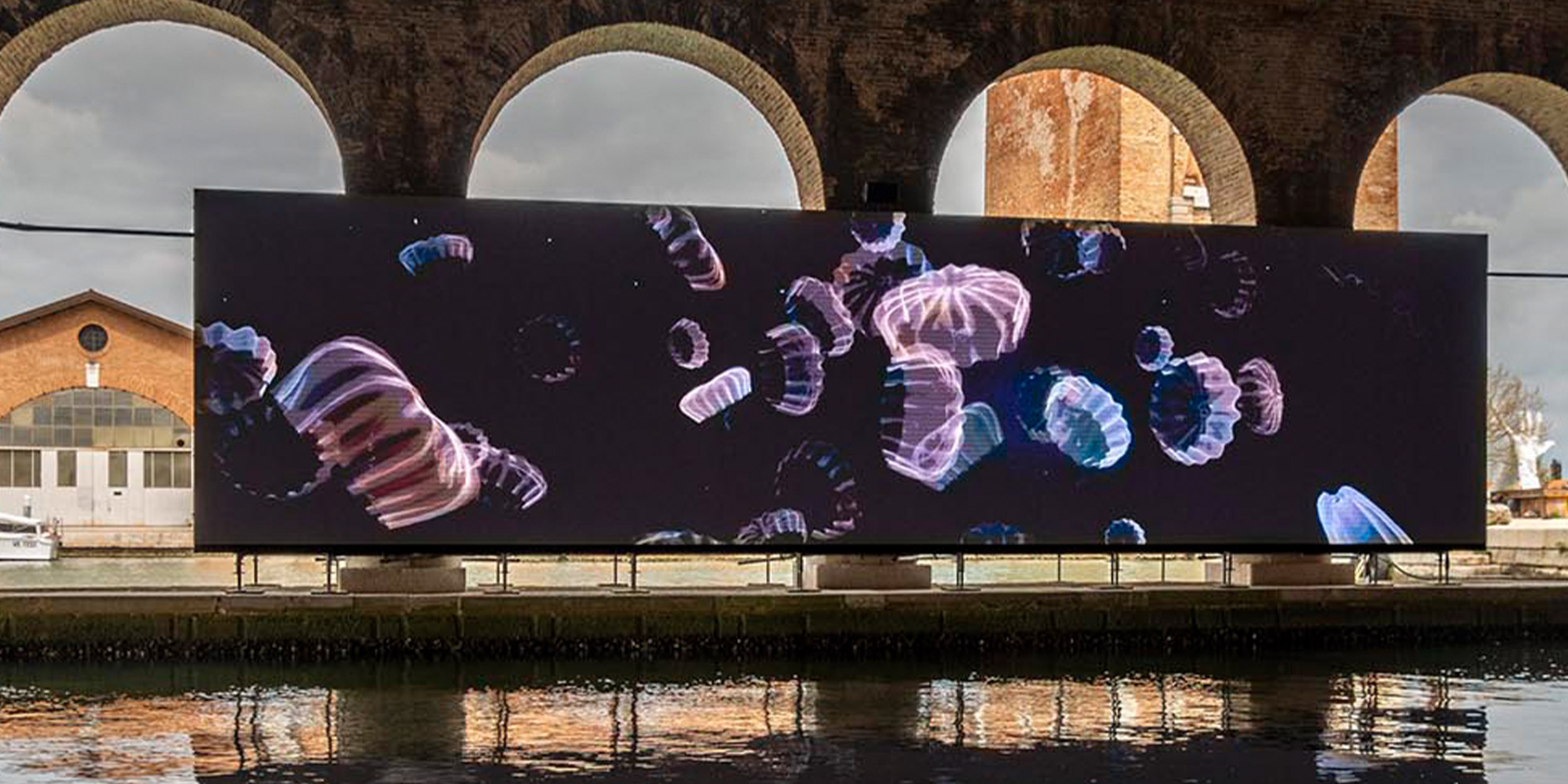Chasing lions: Inside the 2022 Venice Biennale