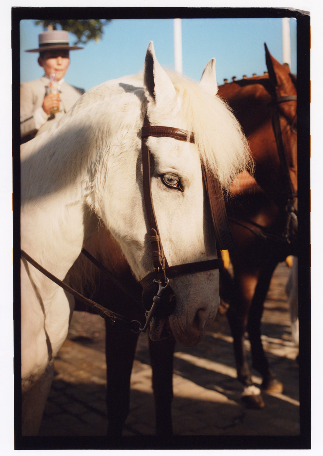 Photographer Oliver Eglin reevaluates the voyeuristic legacy of bullfighting