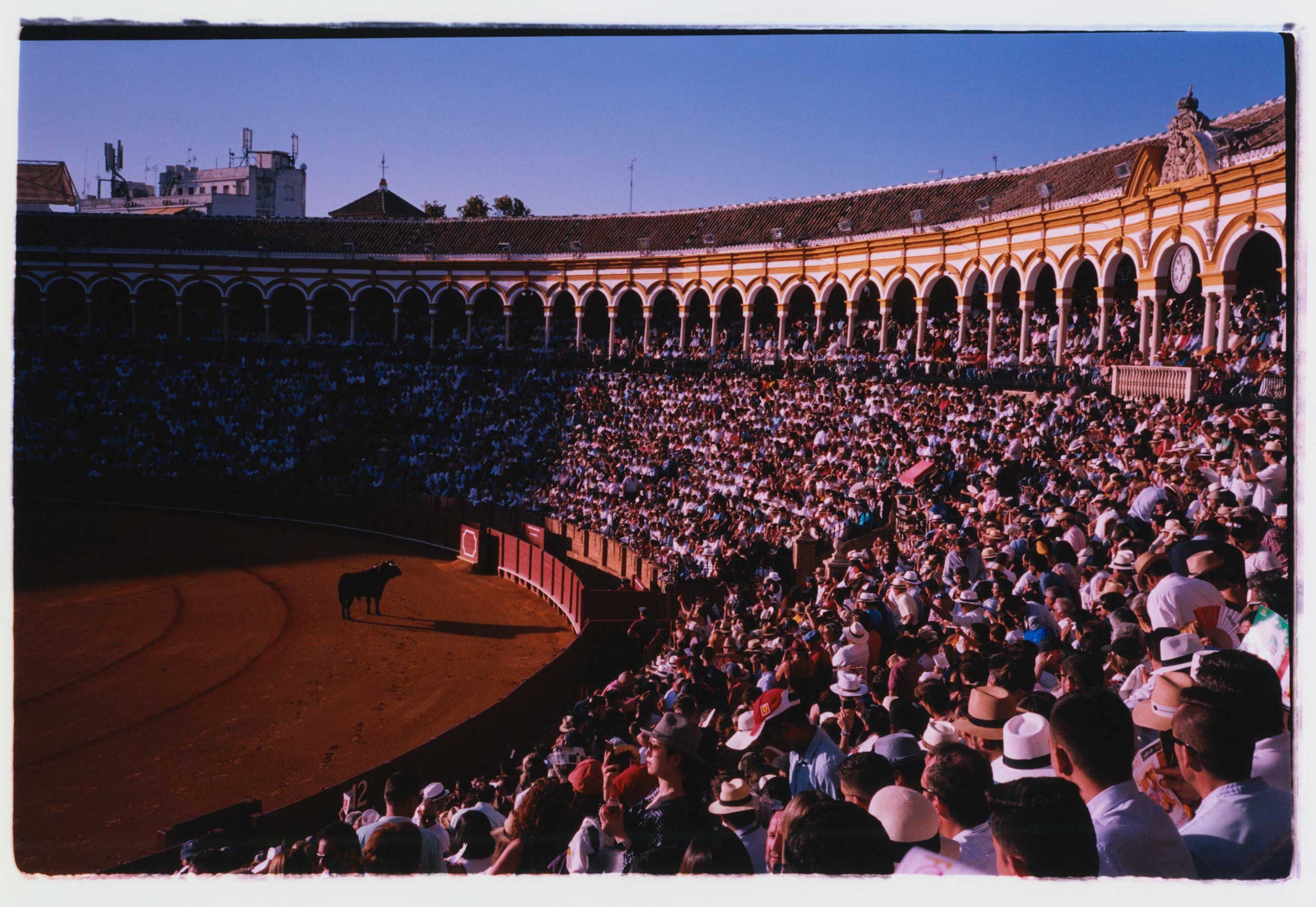 Photographer Oliver Eglin reevaluates the voyeuristic legacy of bullfighting