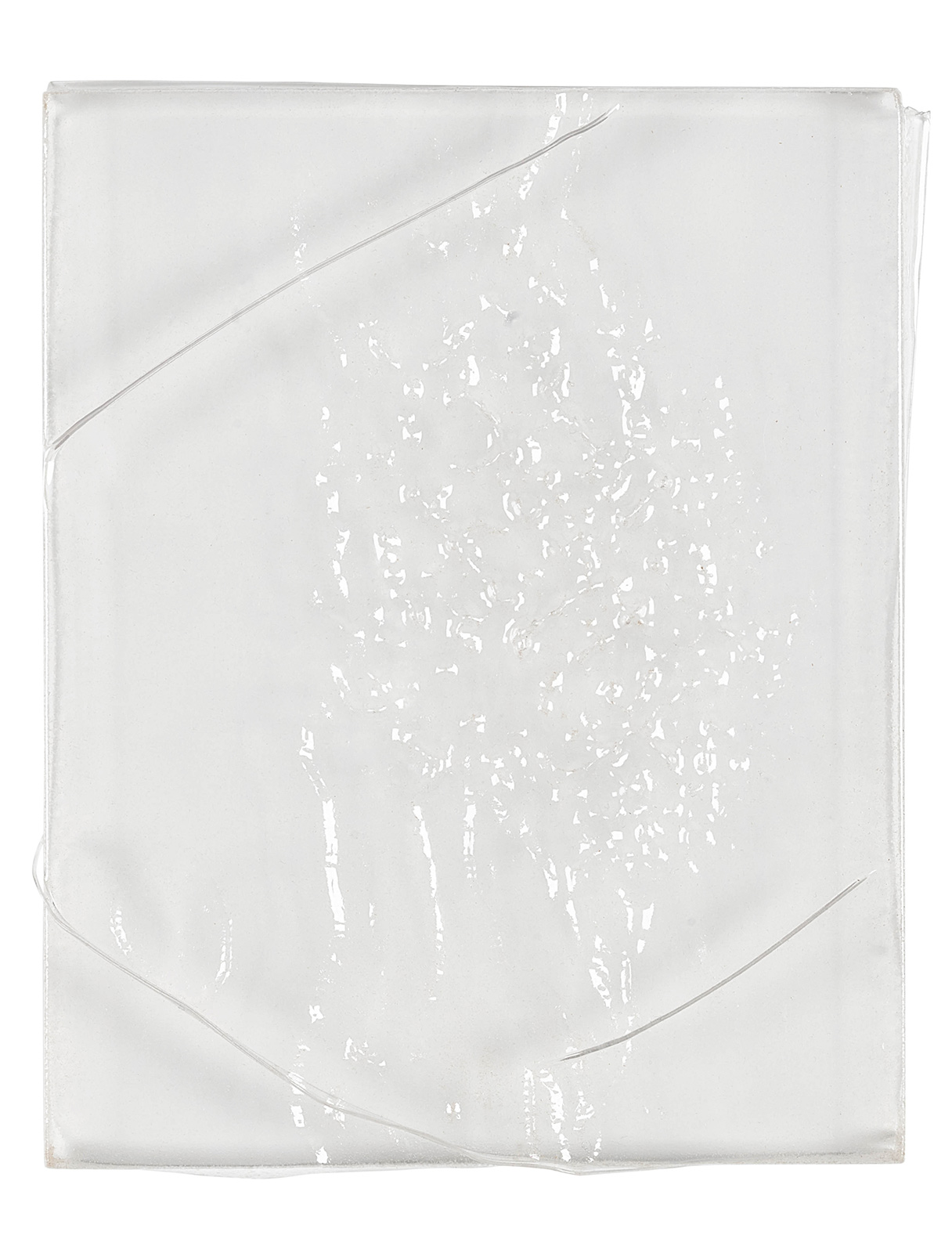 Anicka Yi’s paintings are living, autonomous creatures