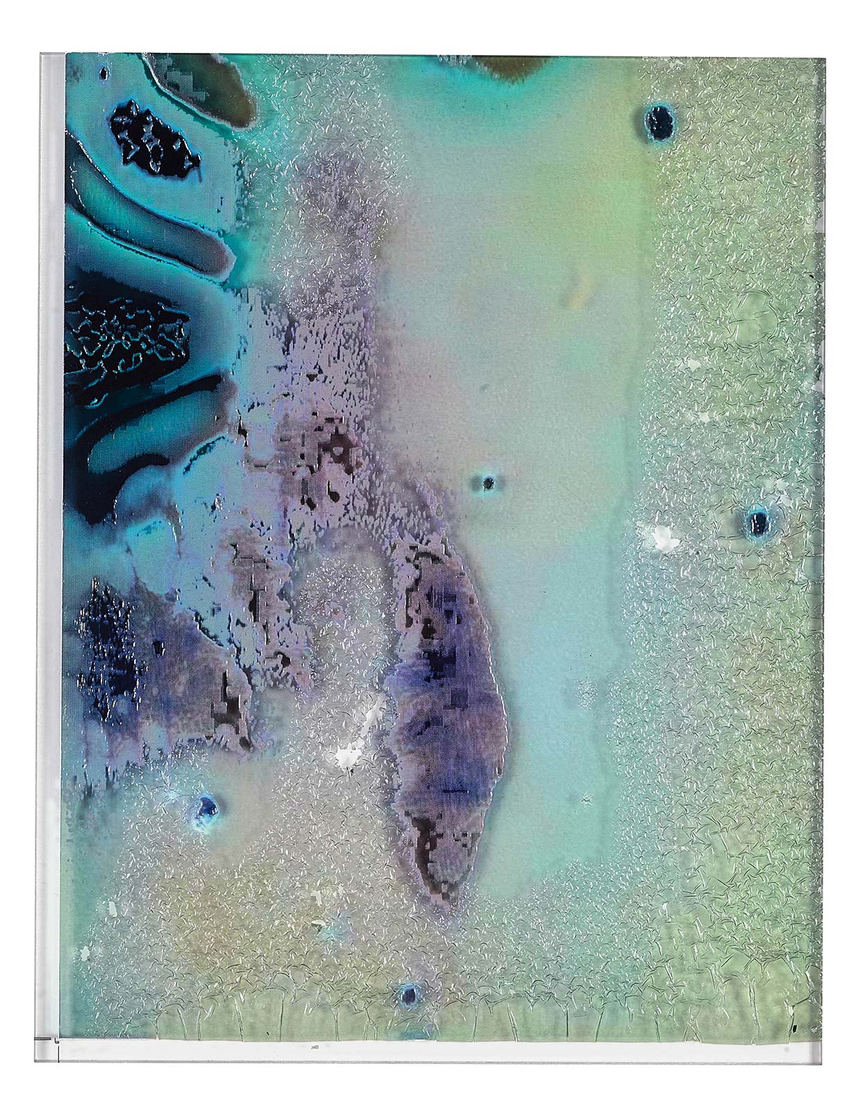 Anicka Yi’s paintings are living, autonomous creatures