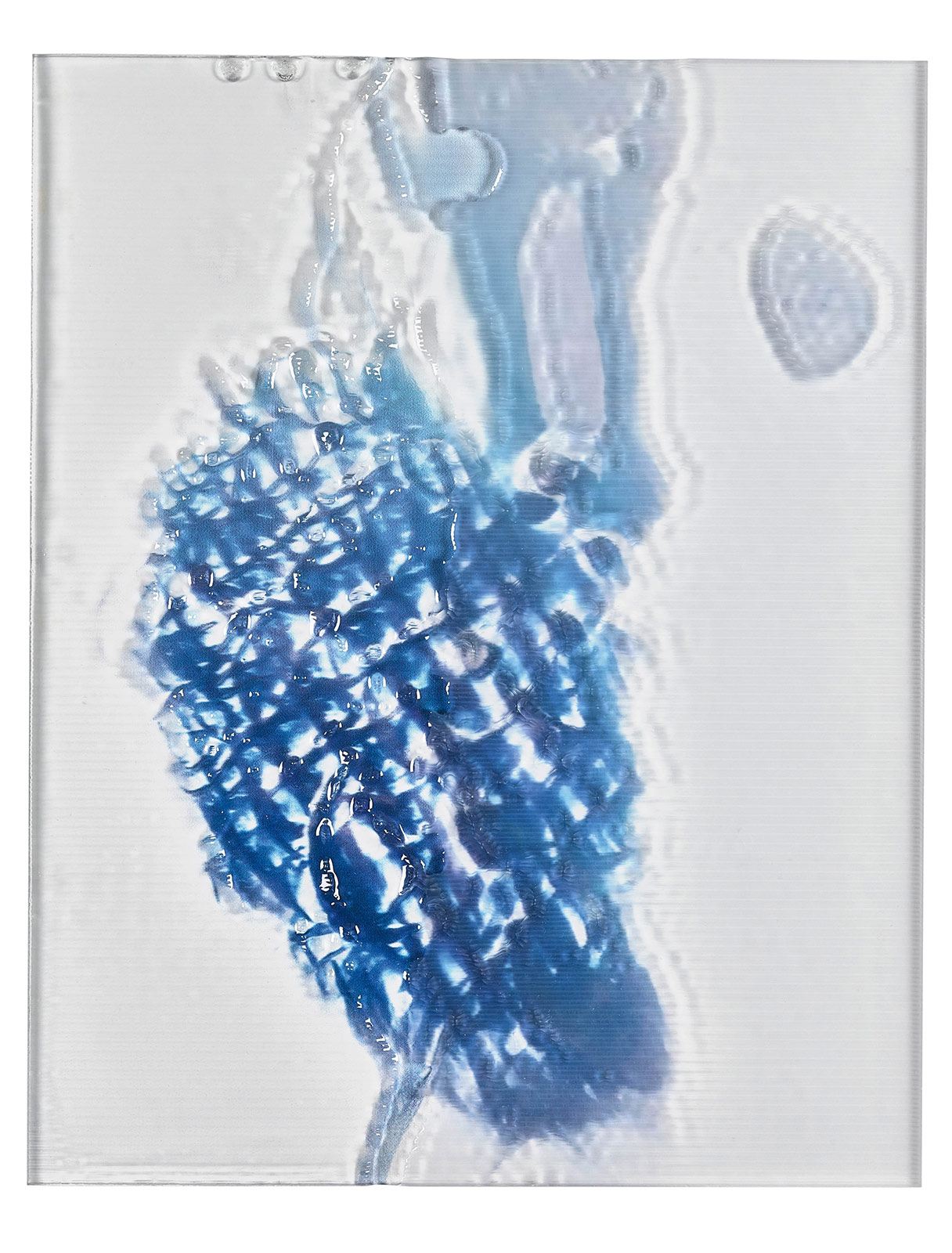 Anicka Yi’s paintings are living, autonomous creatures