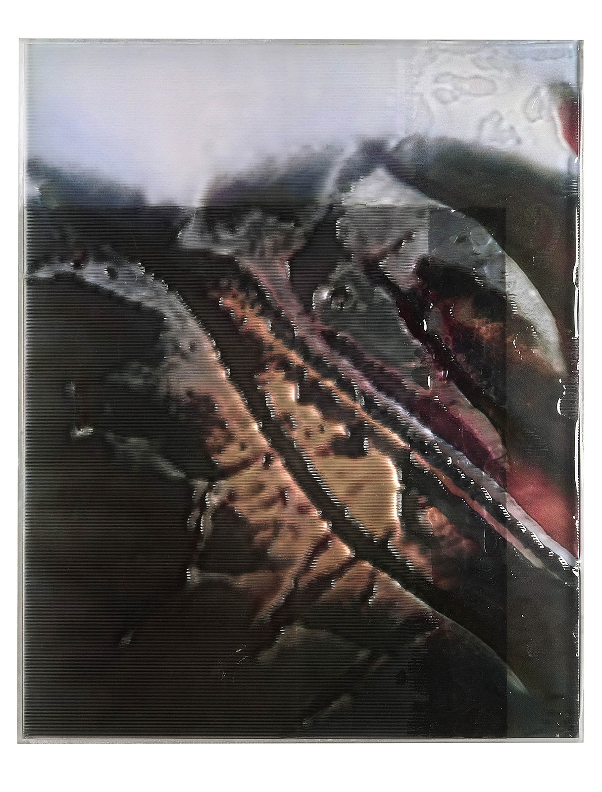 Anicka Yi’s paintings are living, autonomous creatures