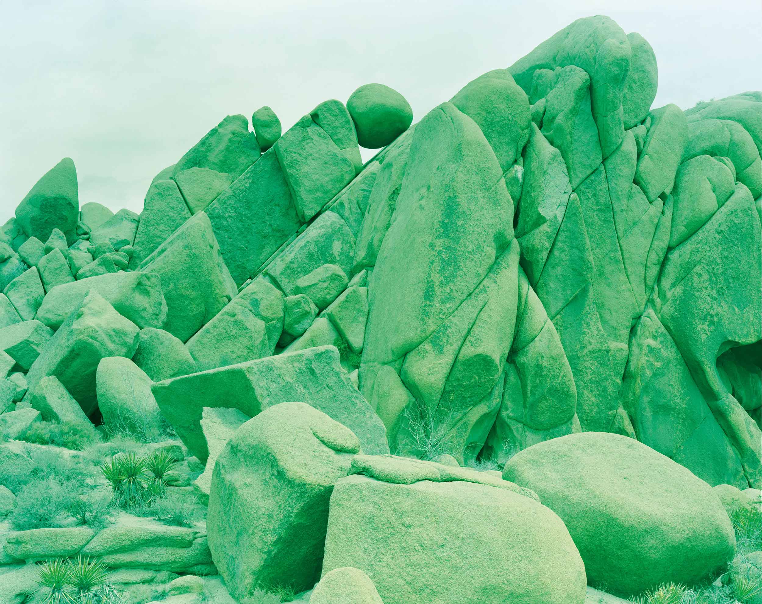 Chasing divinity in the Mojave Desert