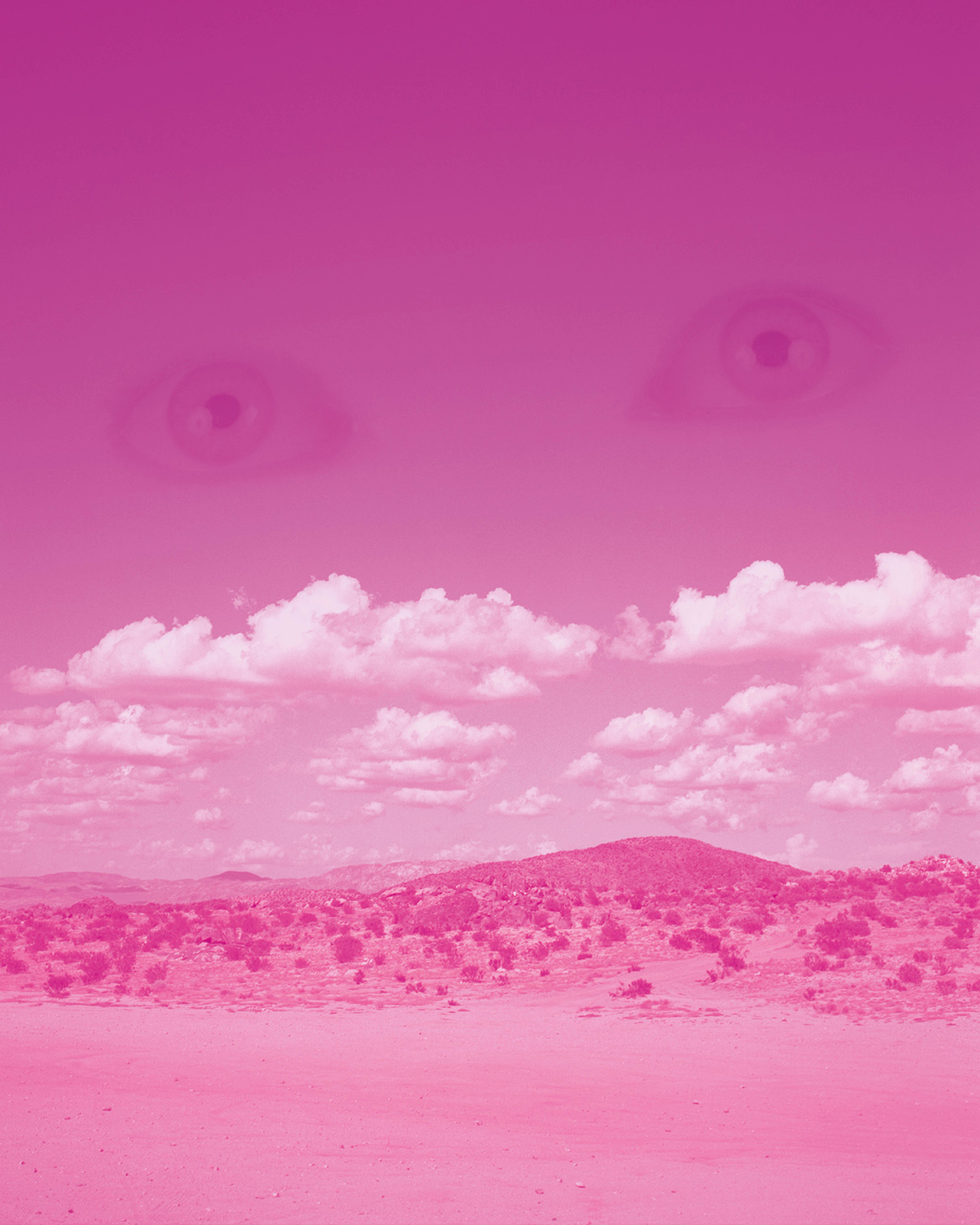 Chasing divinity in the Mojave Desert