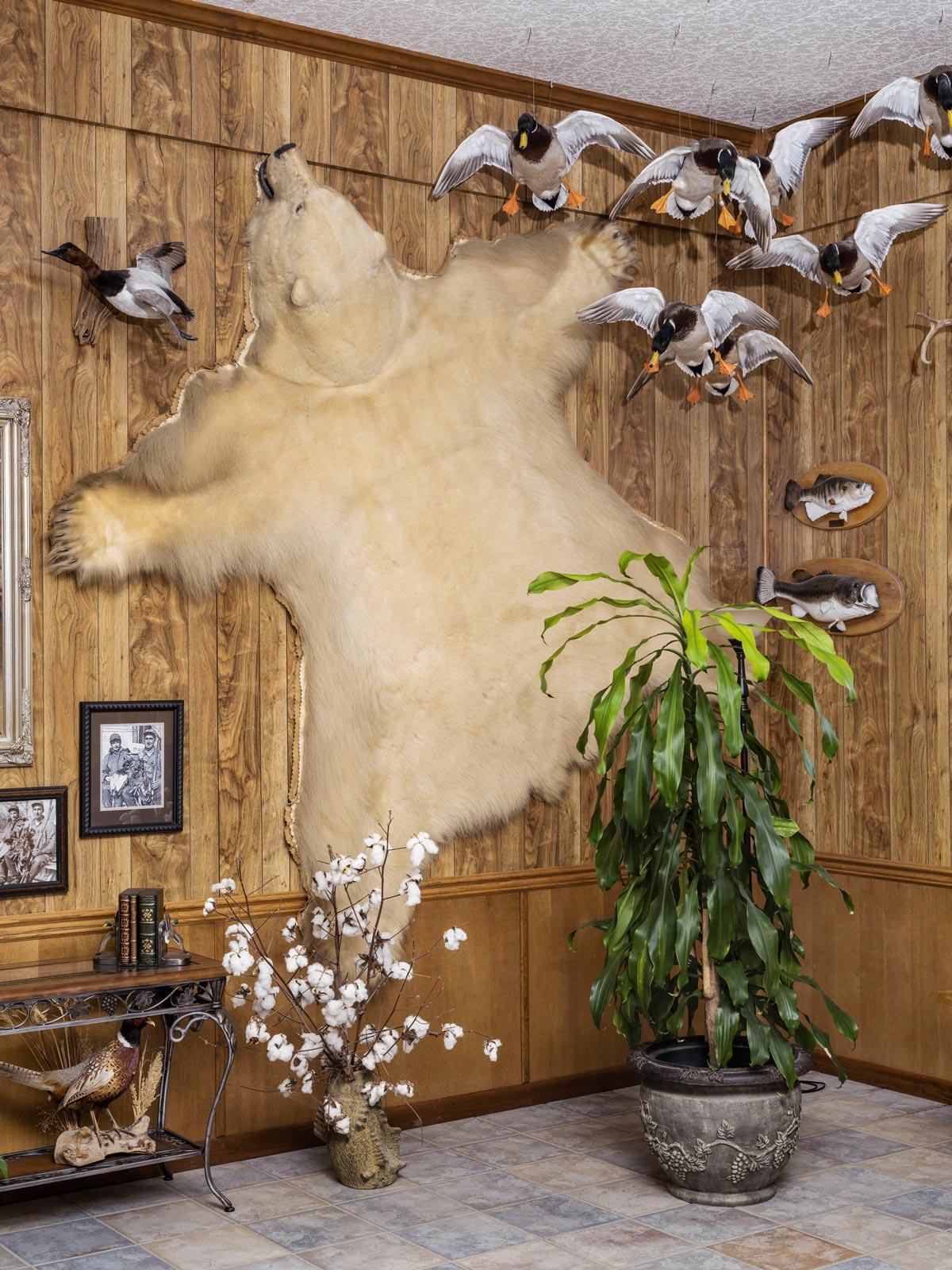 In ‘Whirlpool,’ Jim Goldberg examines the spirit of the small-town South