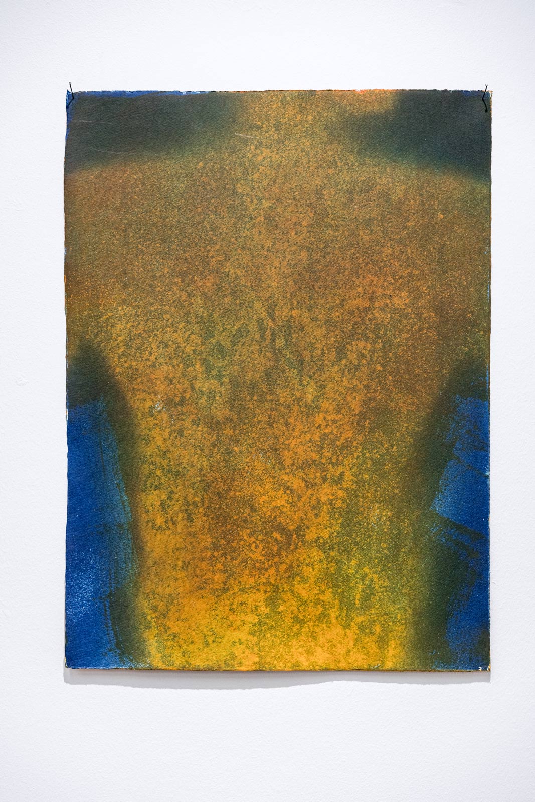 Rabin Huissen’s ‘Selective Memory’ seeks balance between the organic and the man-made