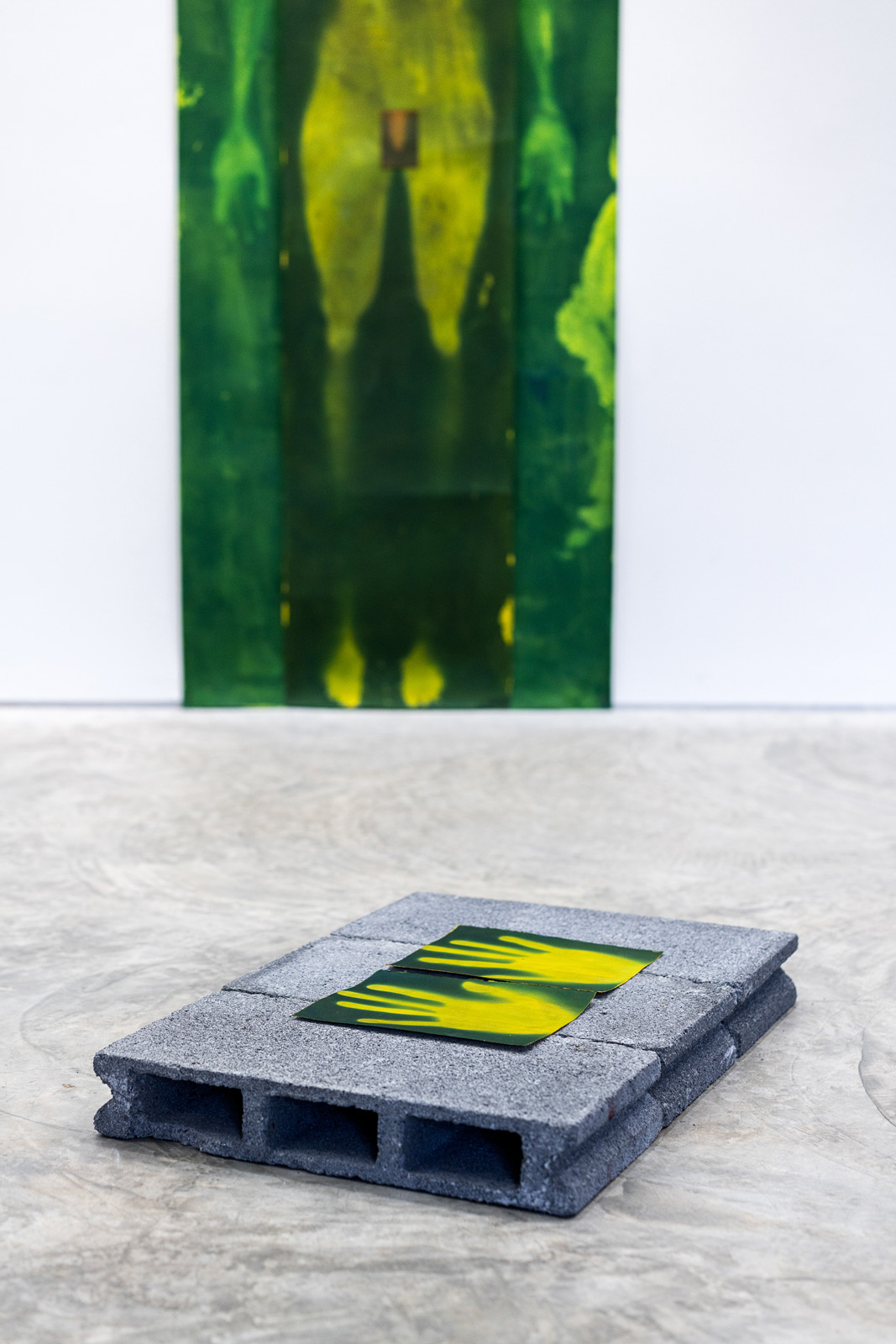 Rabin Huissen’s ‘Selective Memory’ seeks balance between the organic and the man-made