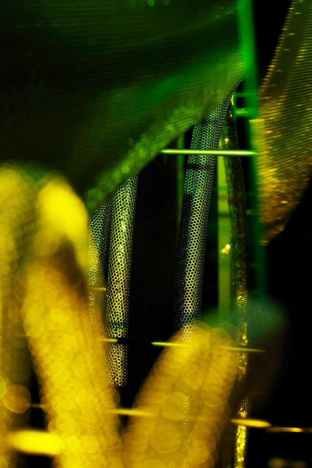 A Spider and its Web: Designer Suchi Reddy on the inextricable link between humans and their environments