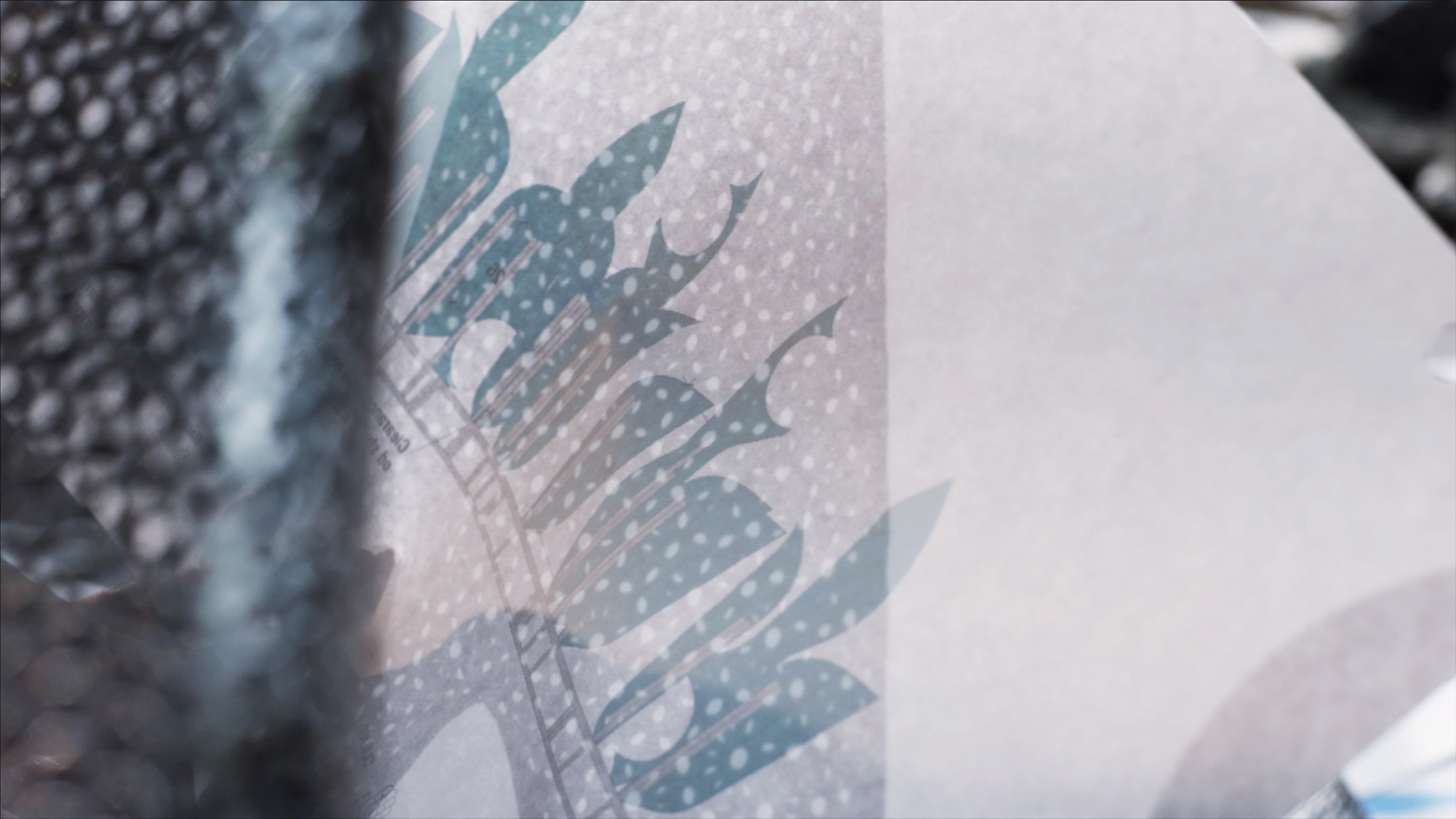 A Spider and its Web: Designer Suchi Reddy on the inextricable link between humans and their environments