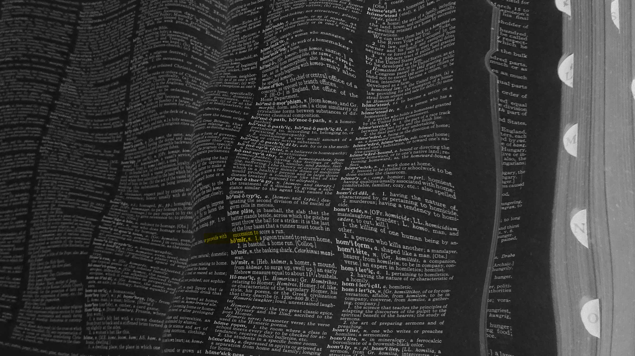 The words that (apparently) defined 2022