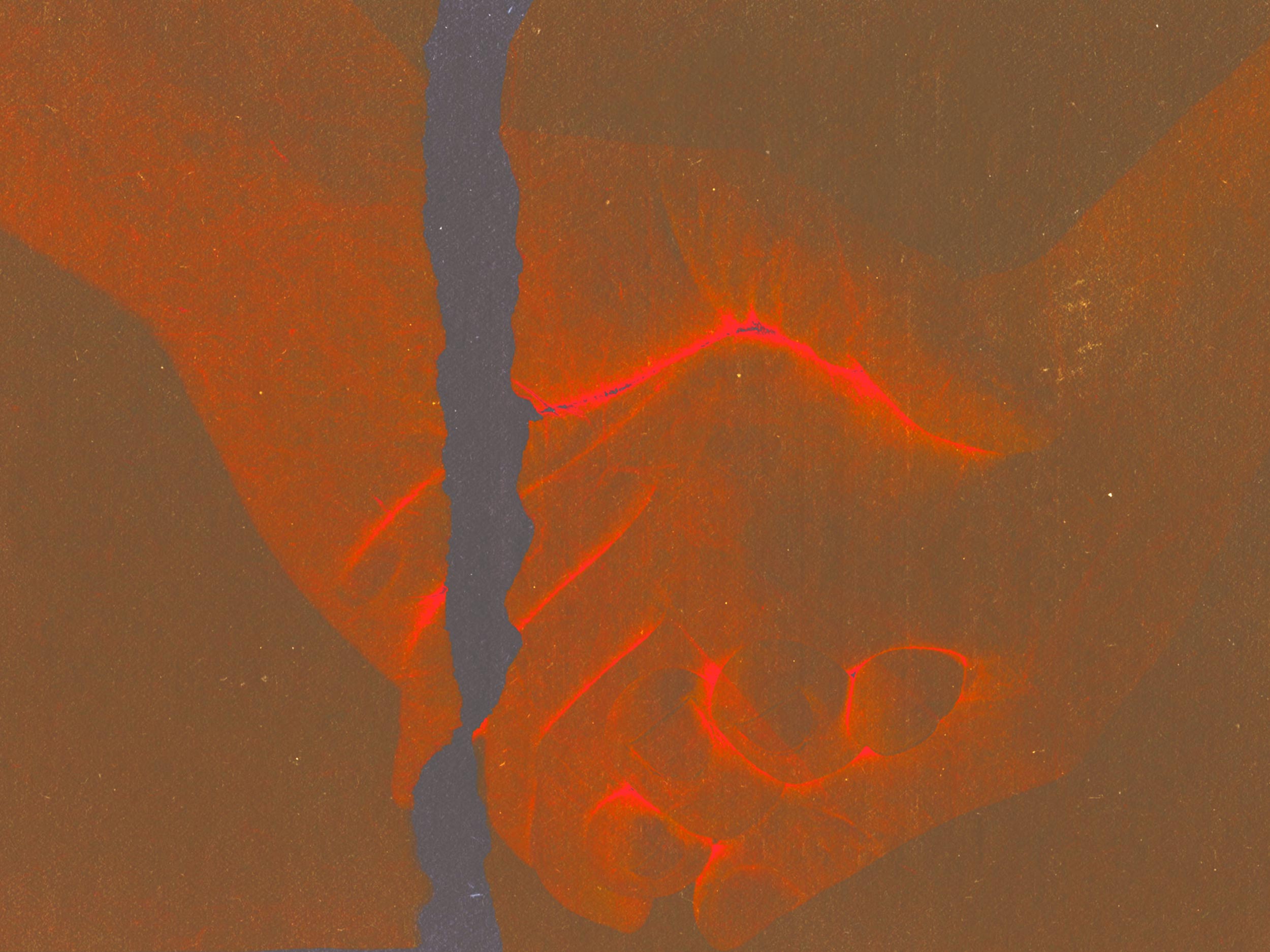 Bad Words: In defense of the faithless