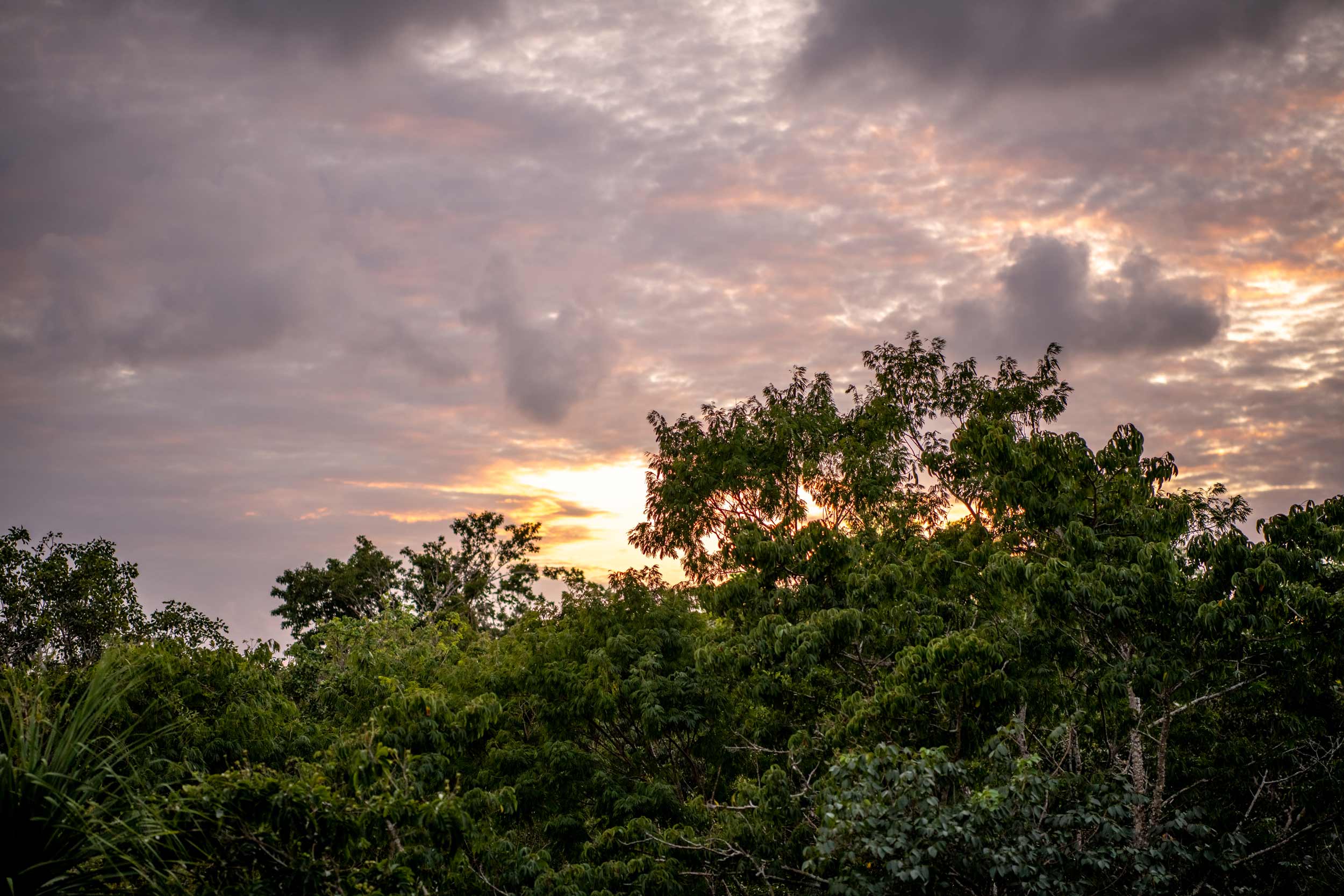 Day Zero marries Mayan tradition with the sounds of modern techno