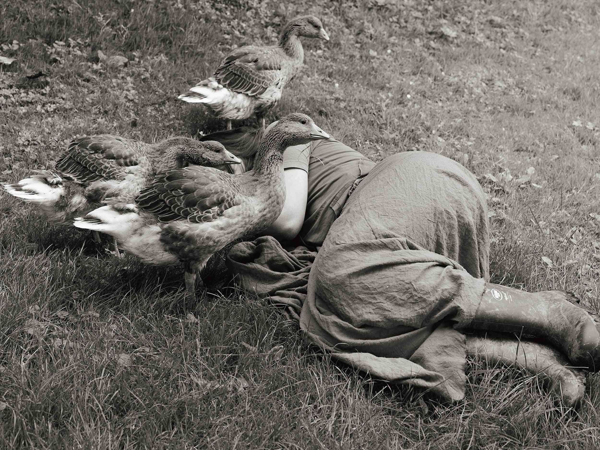 In ‘Companions,’ Yana Wernicke traces tenderness