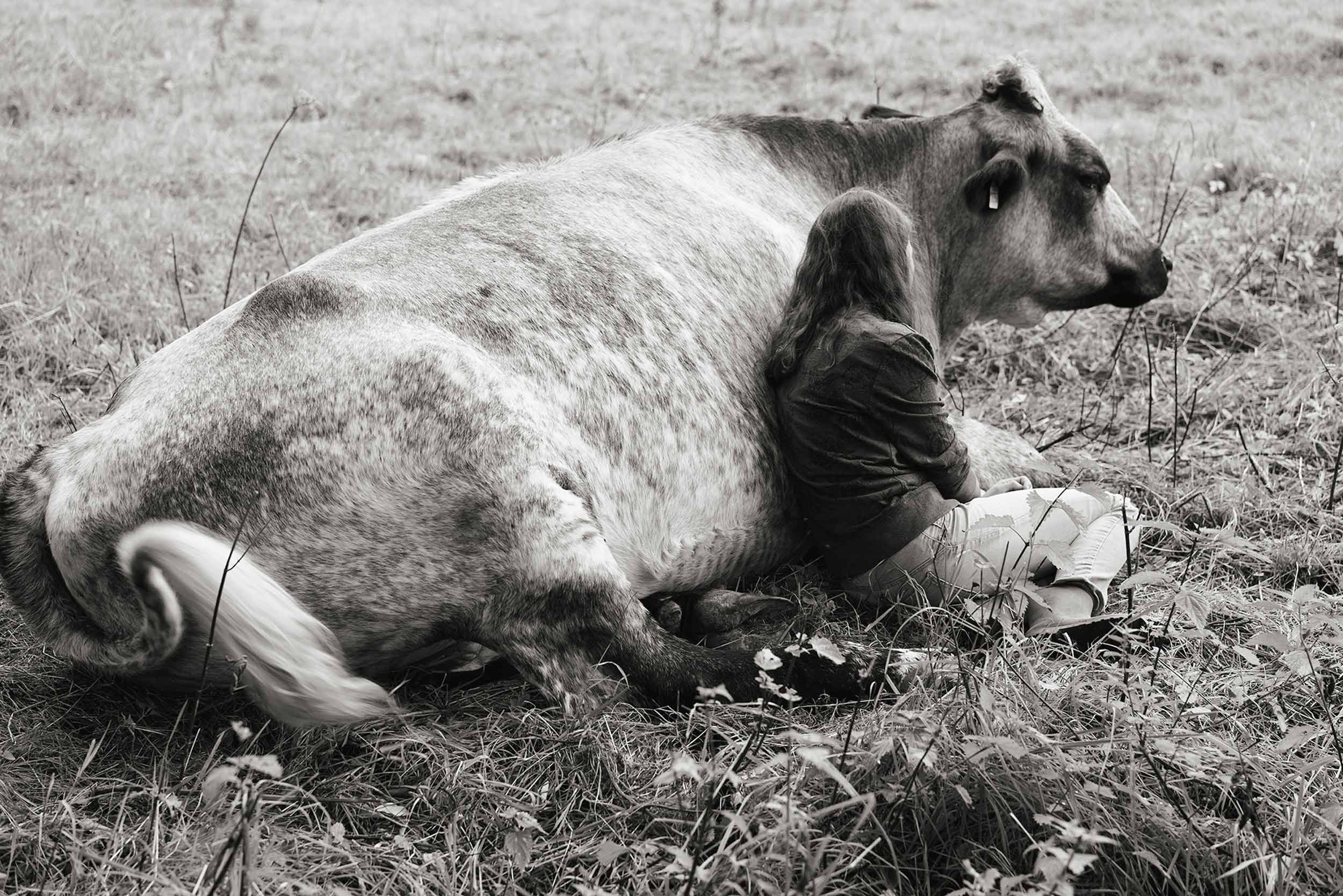 In ‘Companions,’ Yana Wernicke traces tenderness