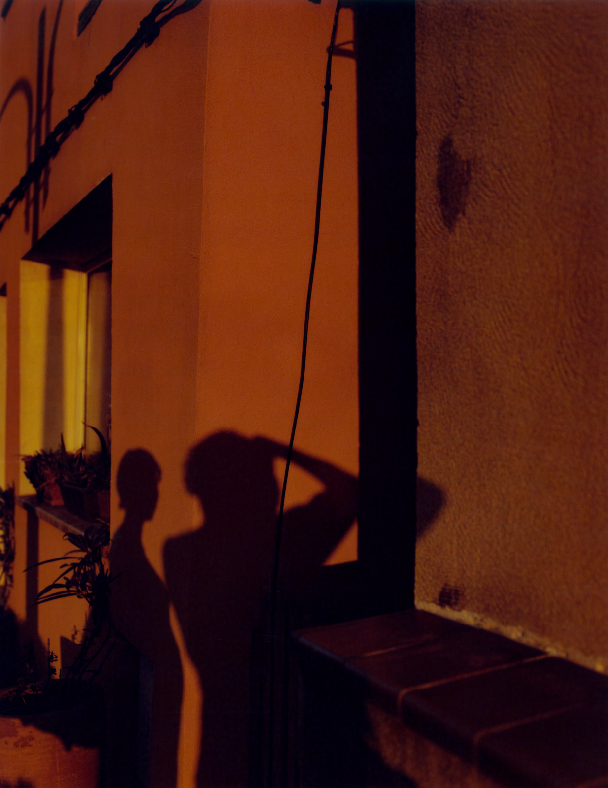 Five photographers’ impressions of love