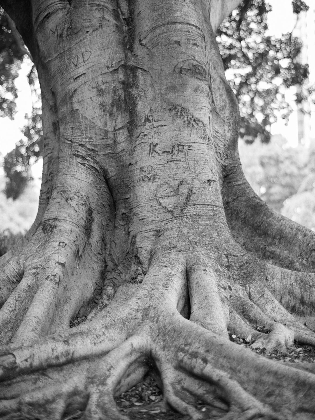 Five photographers’ impressions of love