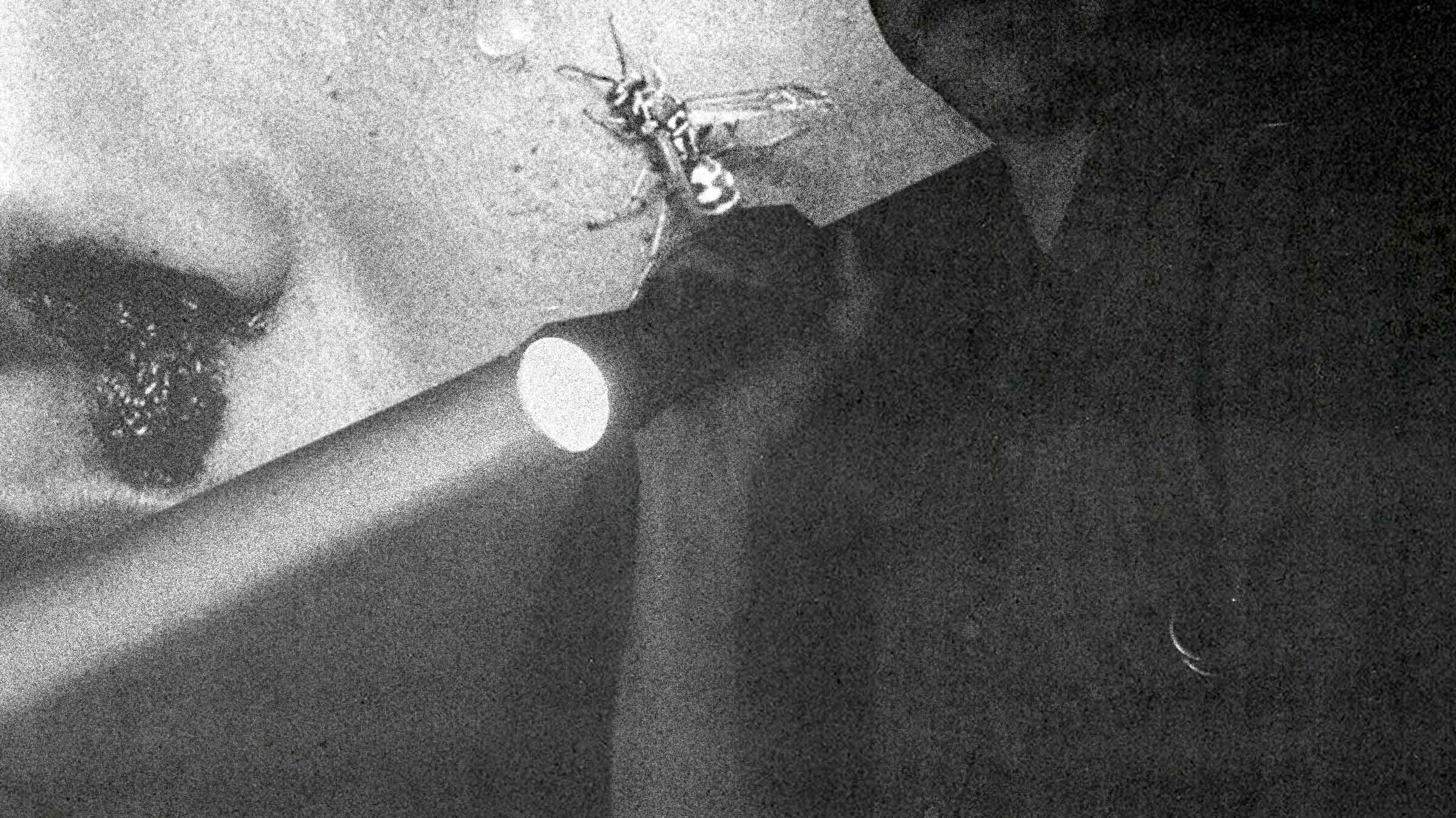 Survivalist dramas are topping the charts, but are they subverting the status quo?