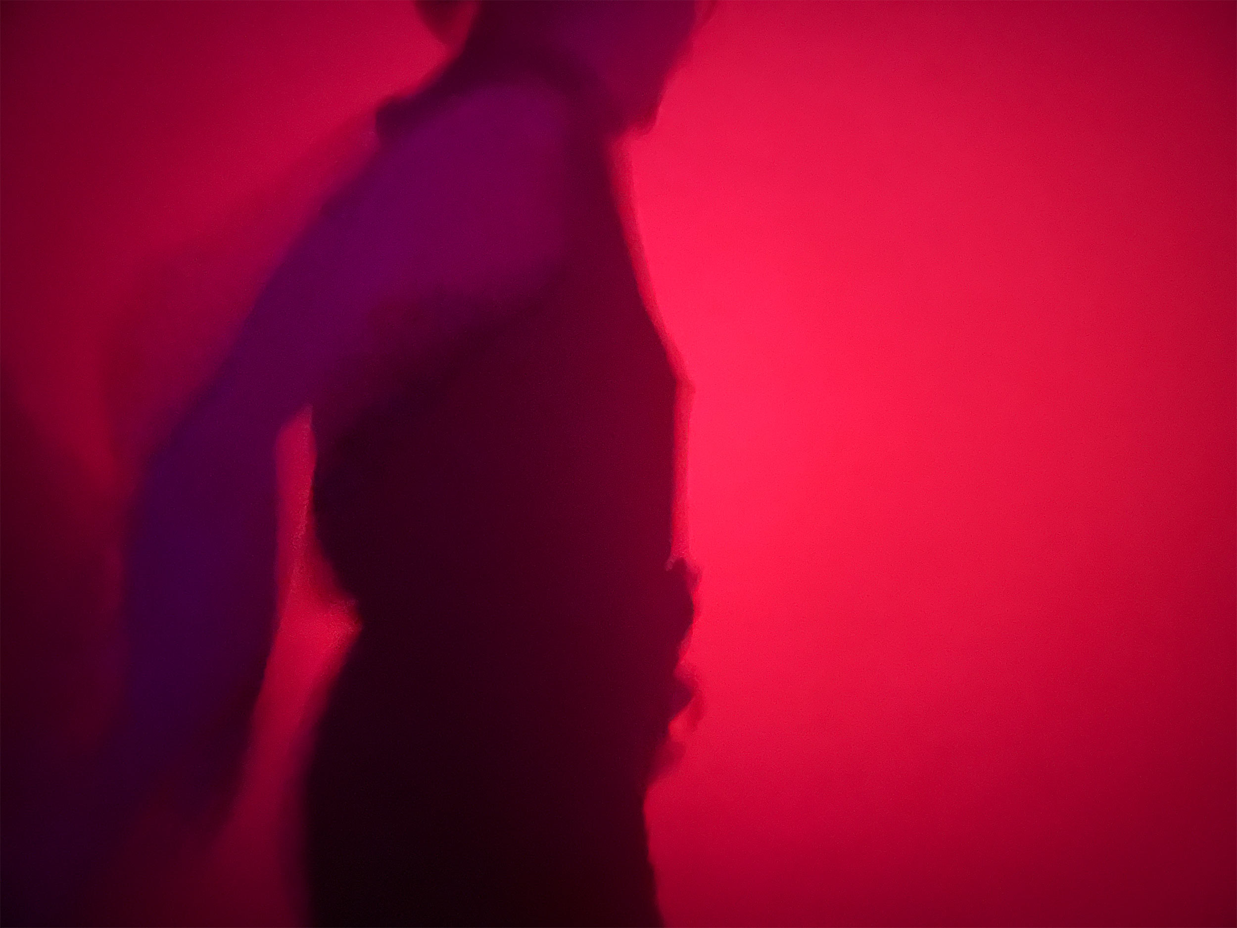 Daytripping: Herding cats