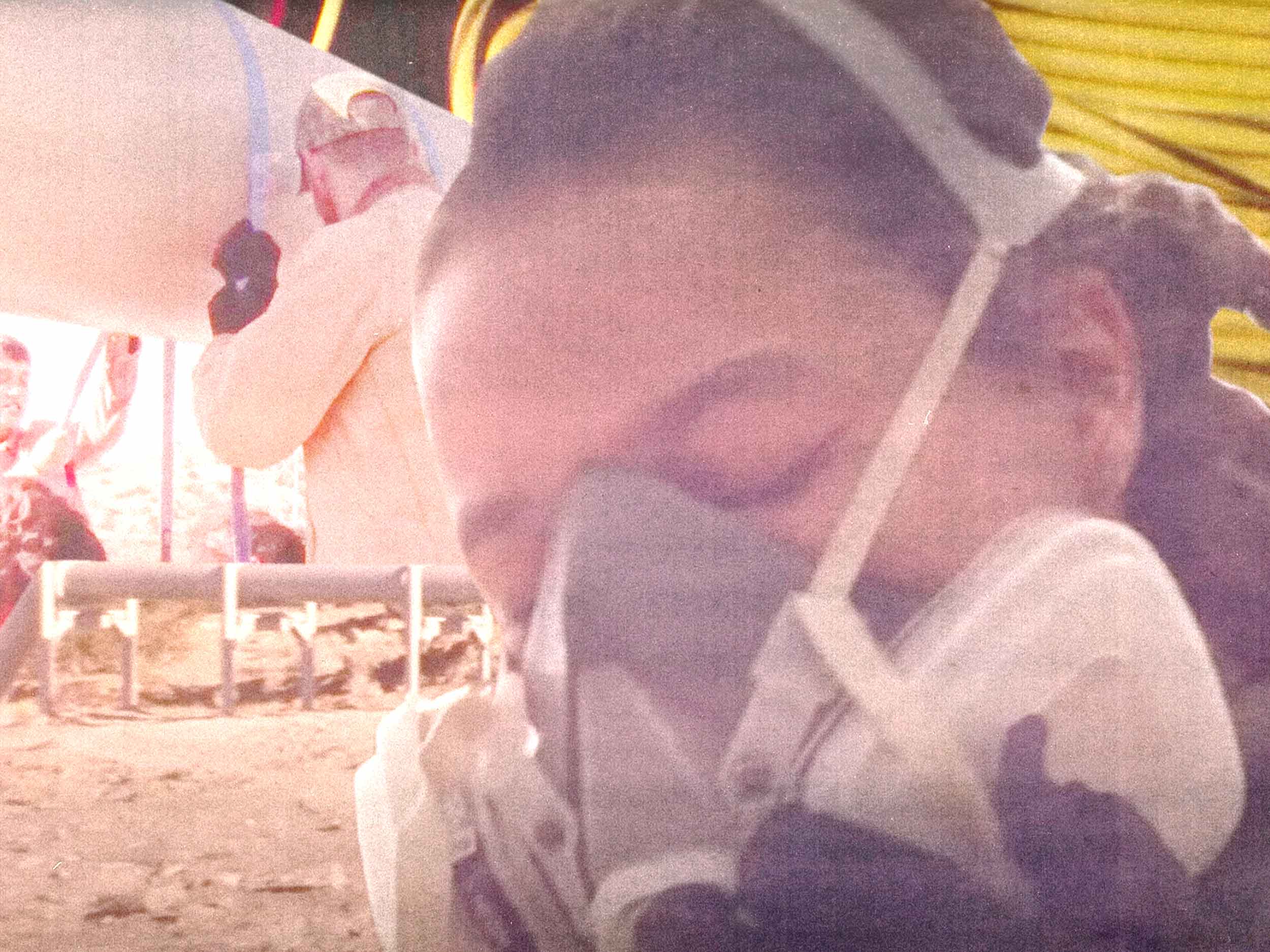 ‘How to Blow Up a Pipeline’ is a call-to-arms for a disillusioned world