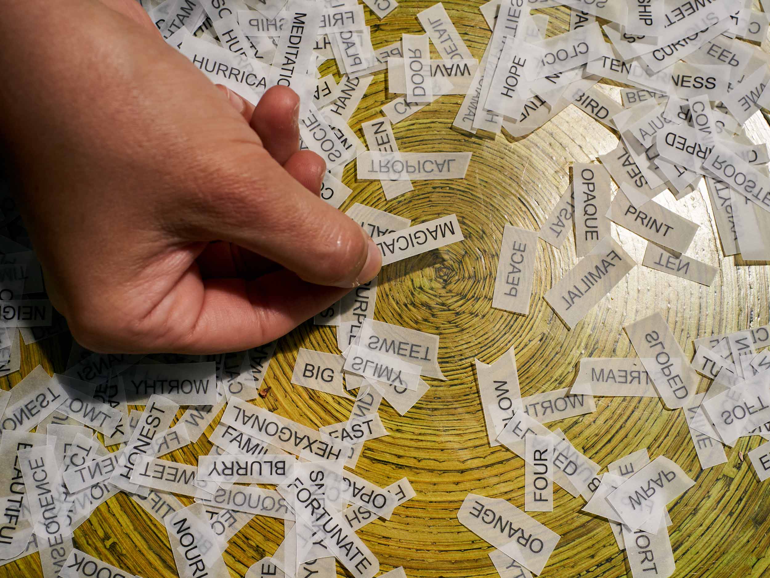 Miami is a poem we write together