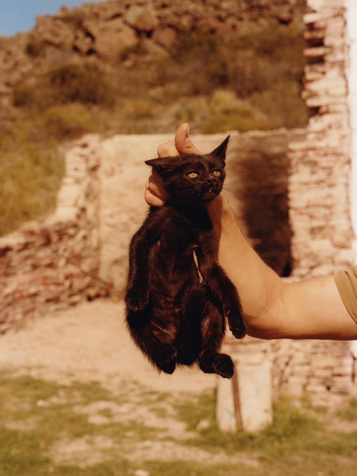 ‘100% (Ciento por Ciento)’ spotlights Patagonia’s storied landscape, and the fight to protect it