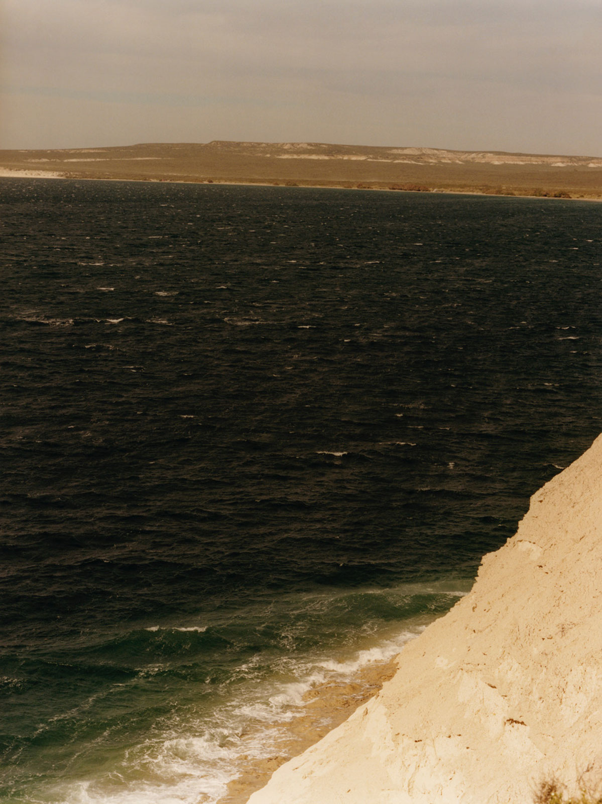 ‘100% (Ciento por Ciento)’ spotlights Patagonia’s storied landscape, and the fight to protect it