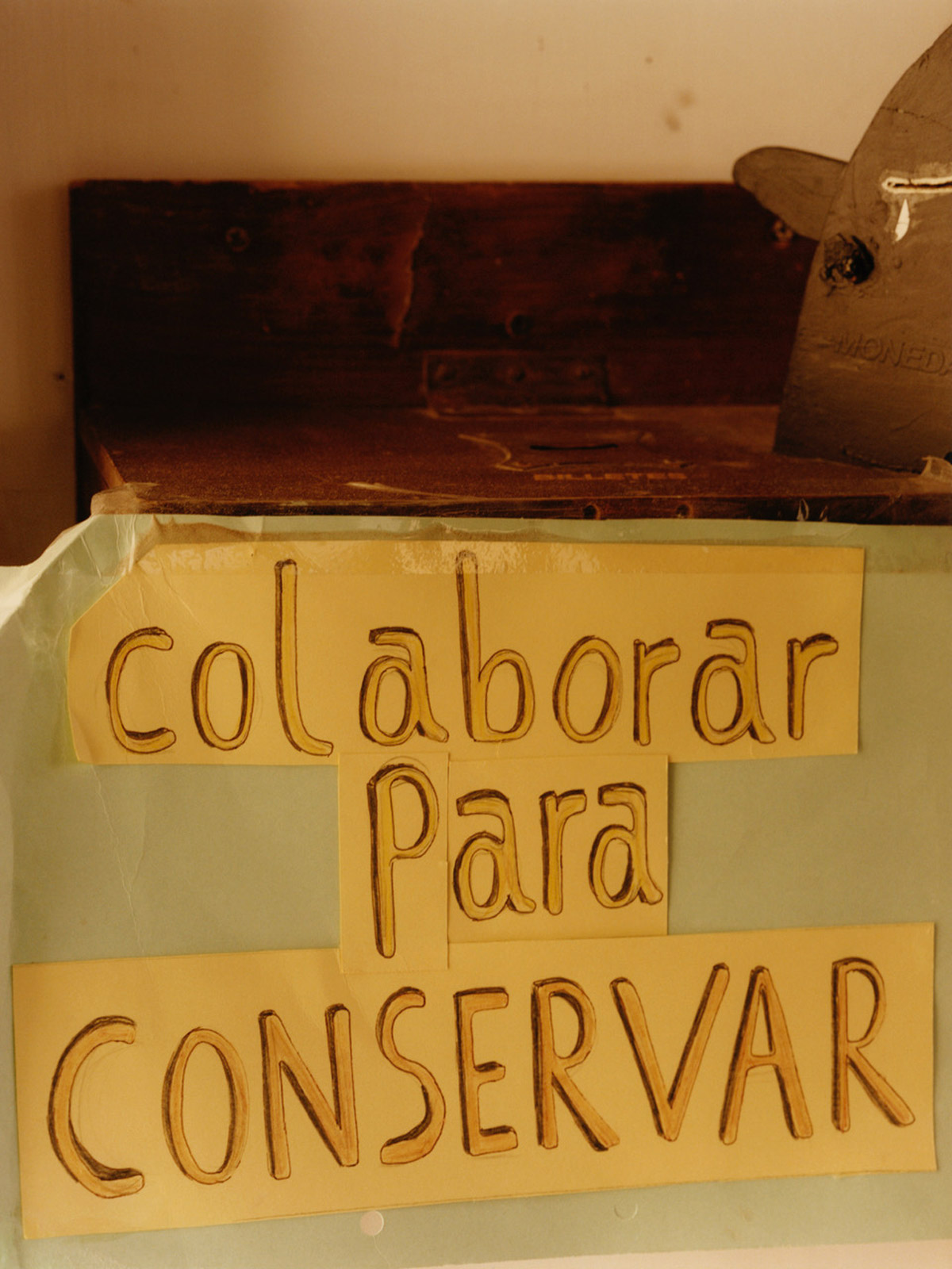 ‘100% (Ciento por Ciento)’ spotlights Patagonia’s storied landscape, and the fight to protect it