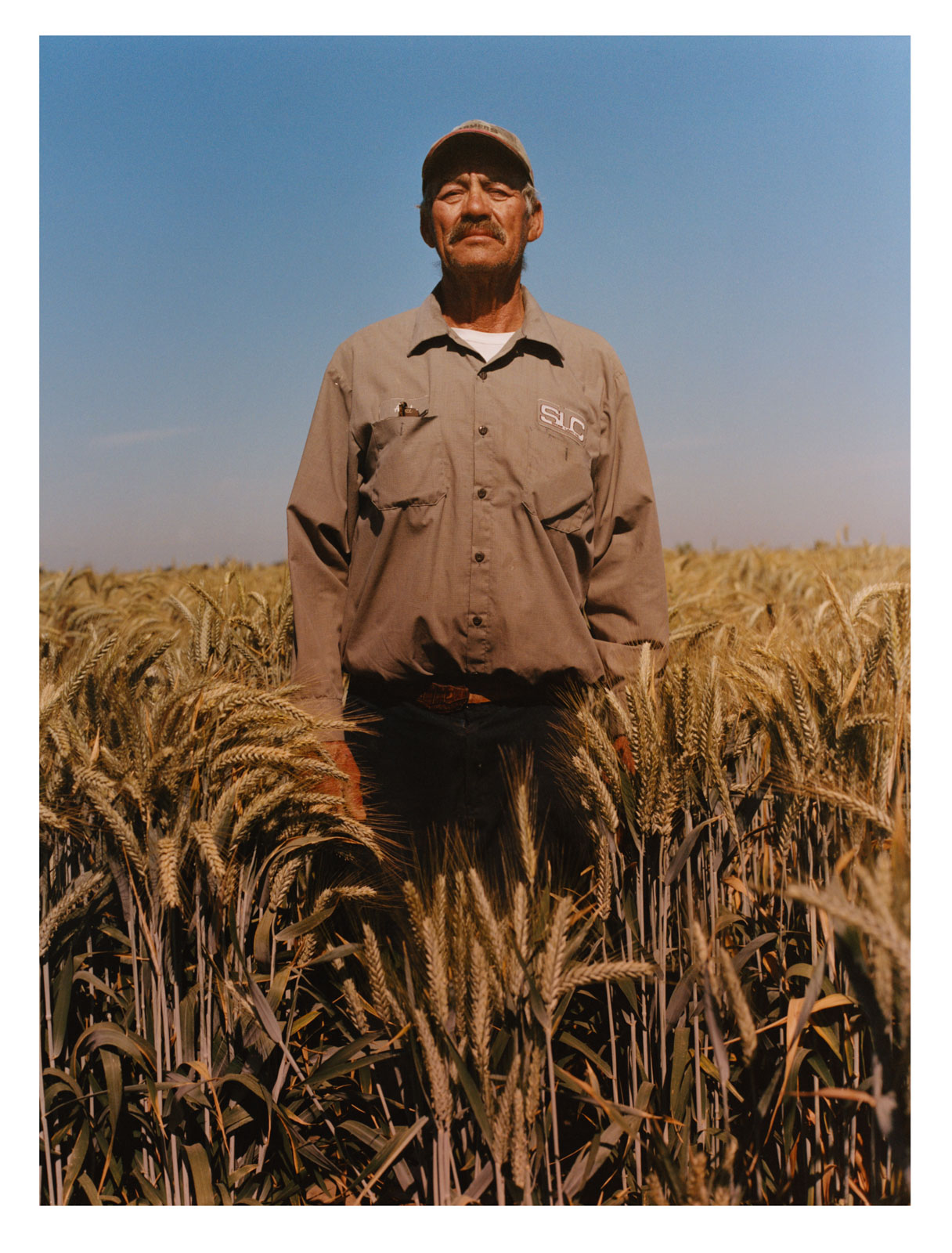 A Return to the Land: Regenerative agricultural practices safeguard future fertility