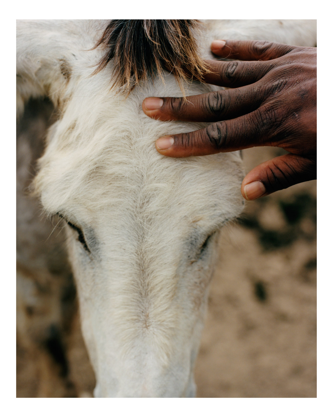 A Return to the Land: Regenerative agricultural practices safeguard future fertility