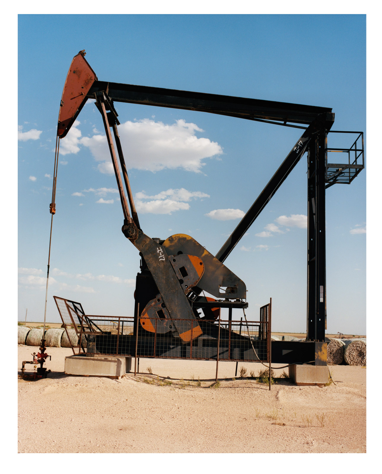 A Return to the Land: Regenerative agricultural practices safeguard future fertility