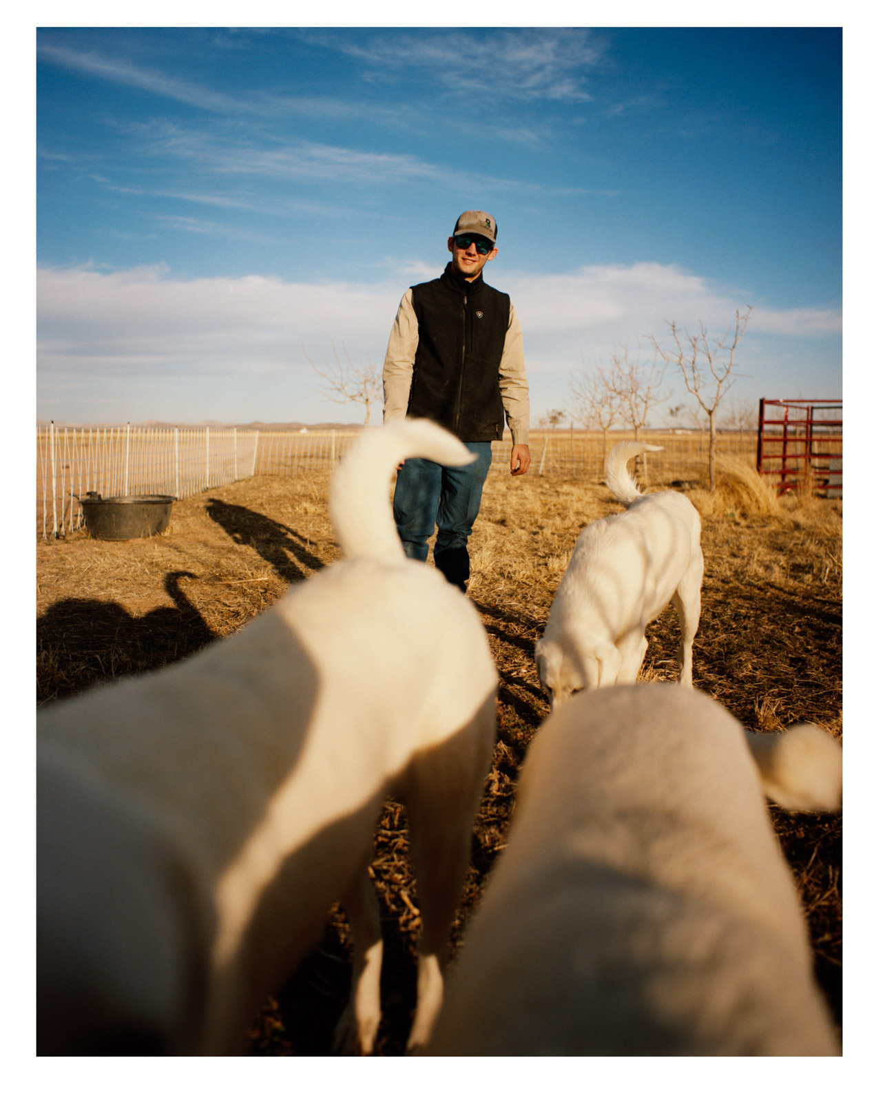 A Return to the Land: Regenerative agricultural practices safeguard future fertility