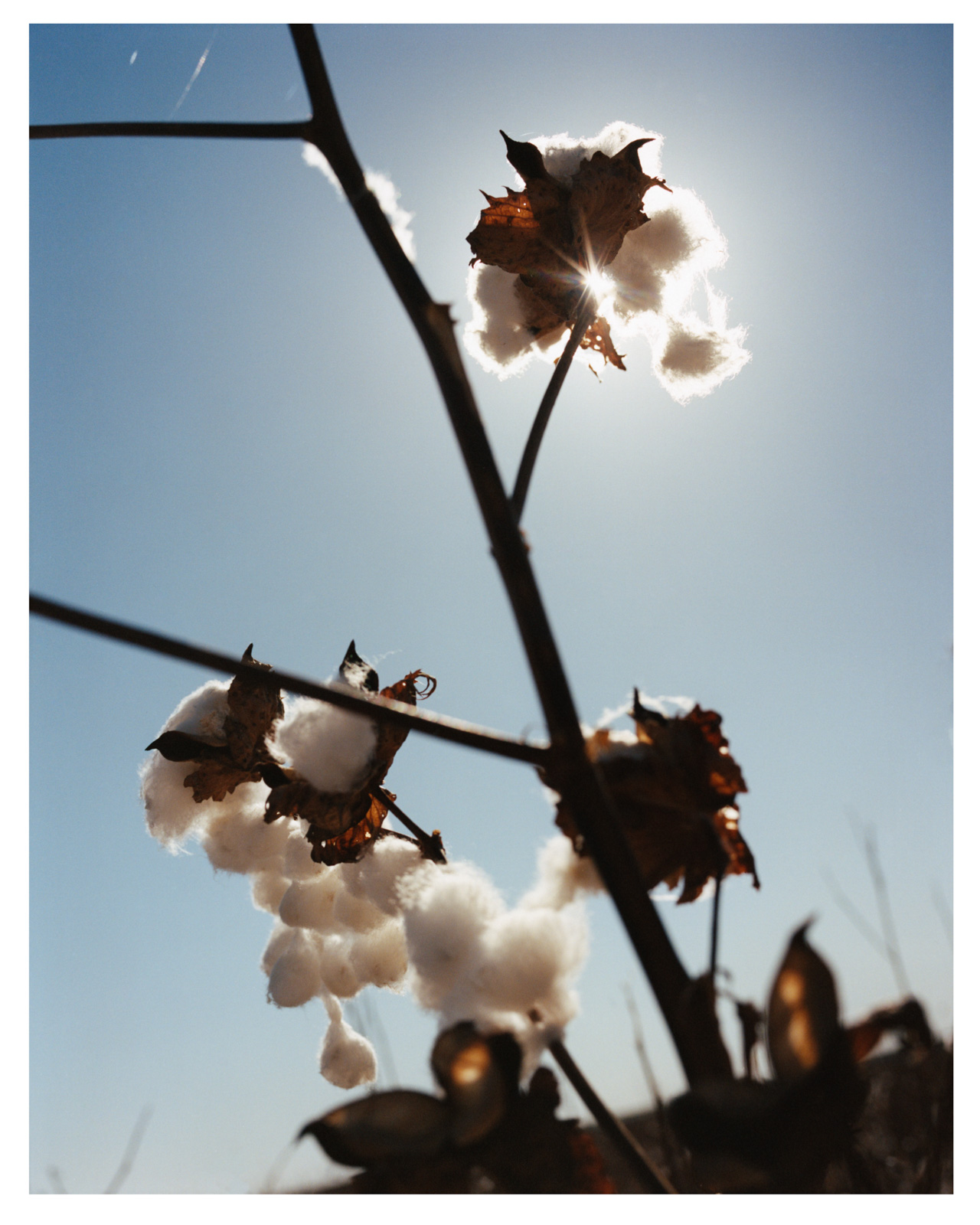 A Return to the Land: Regenerative agricultural practices safeguard future fertility