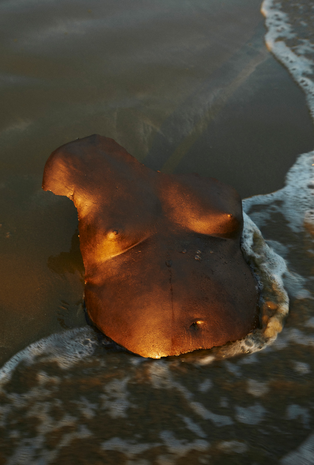 Misha Japanwala wants you to be without shame