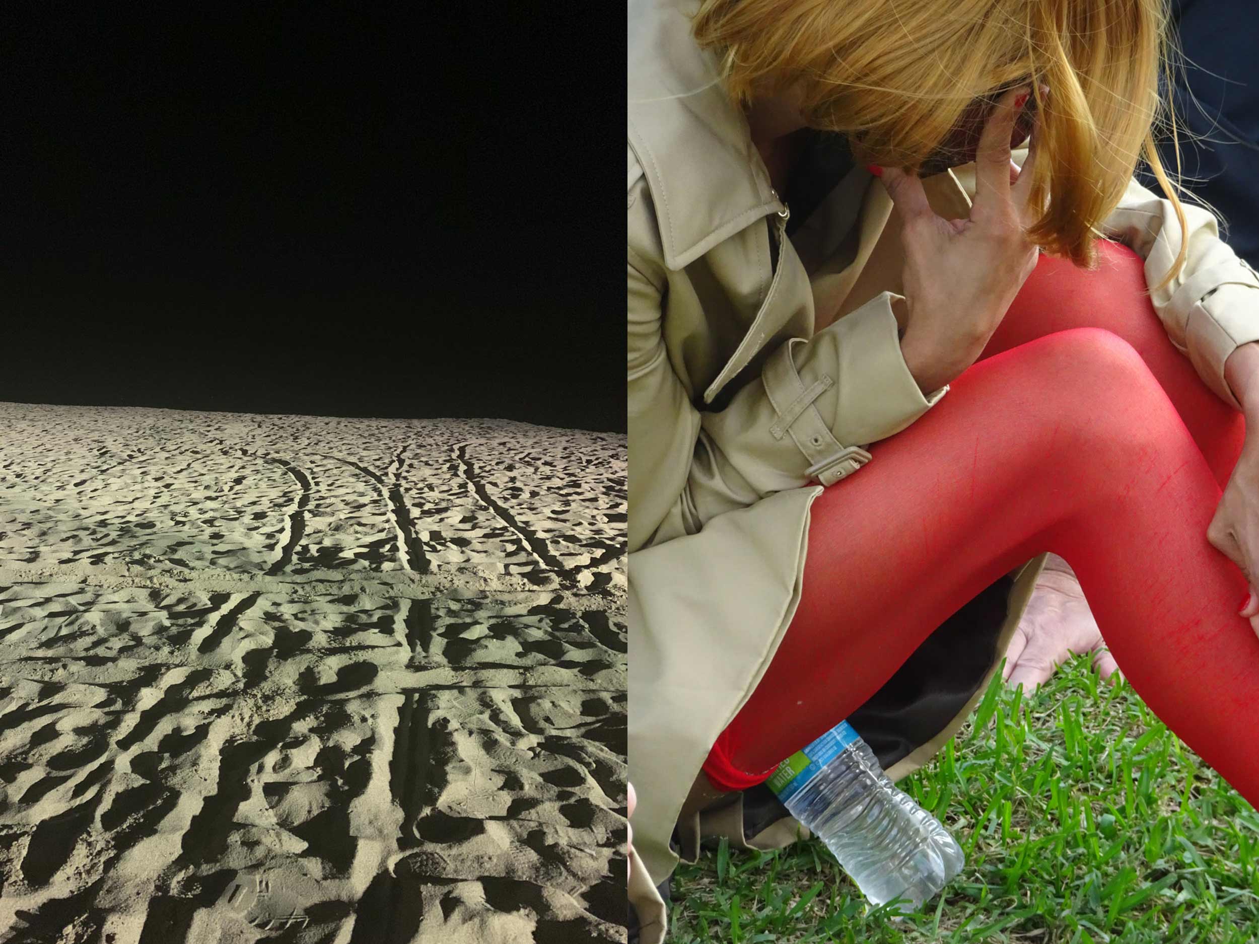 Kristie Muller’s subject is peculiarity itself