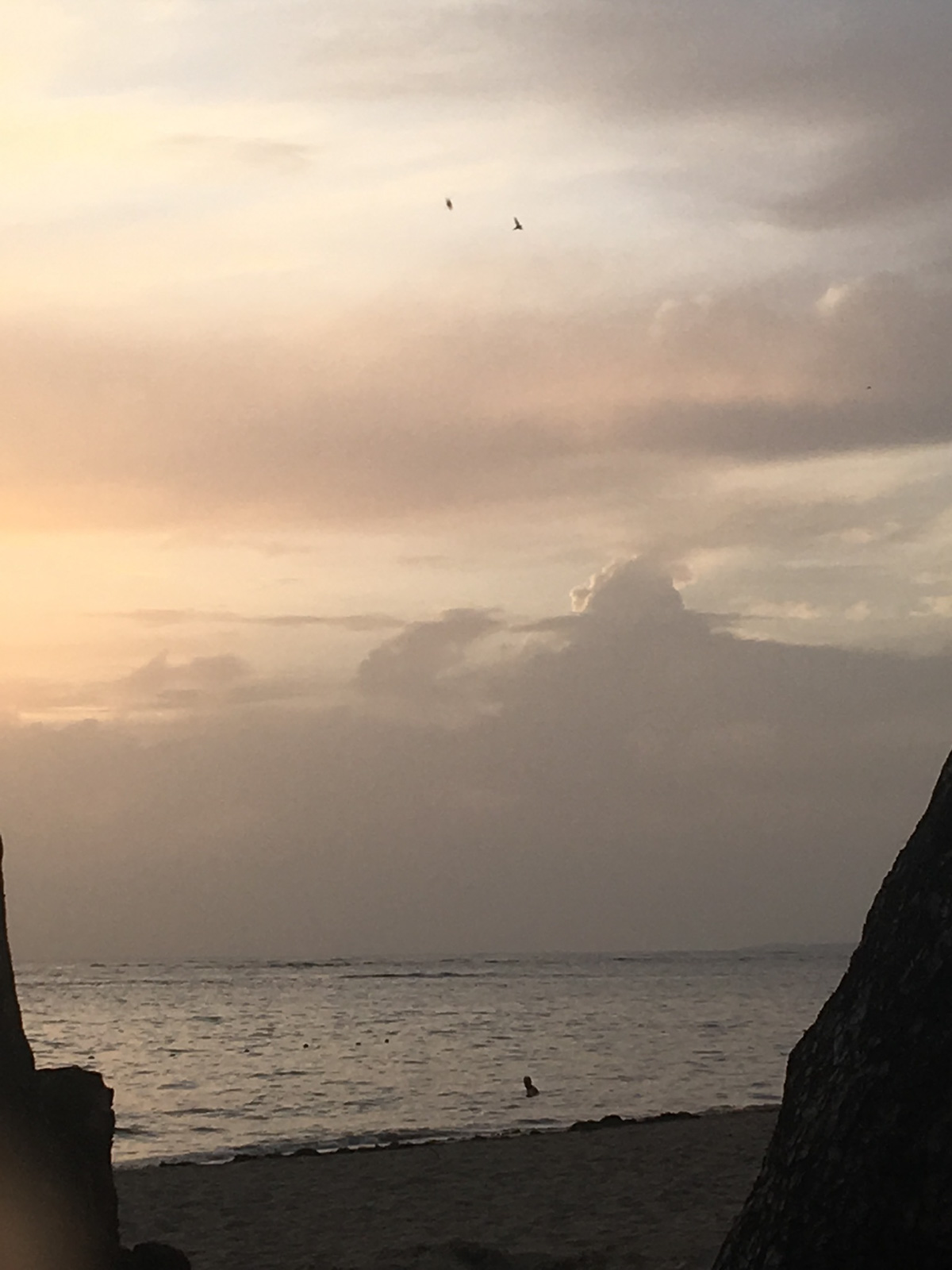 Kristie Muller’s subject is peculiarity itself