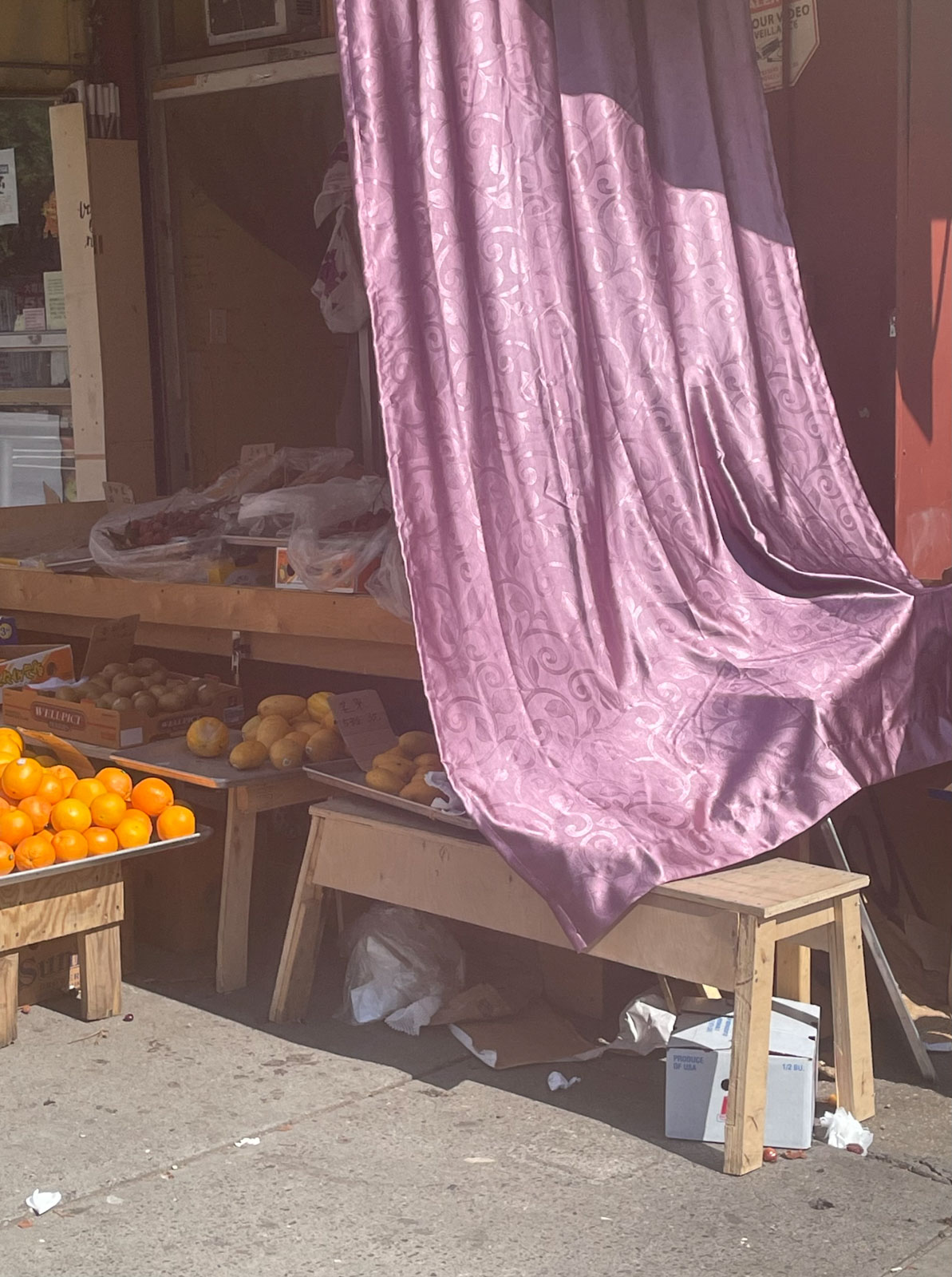 Kristie Muller’s subject is peculiarity itself