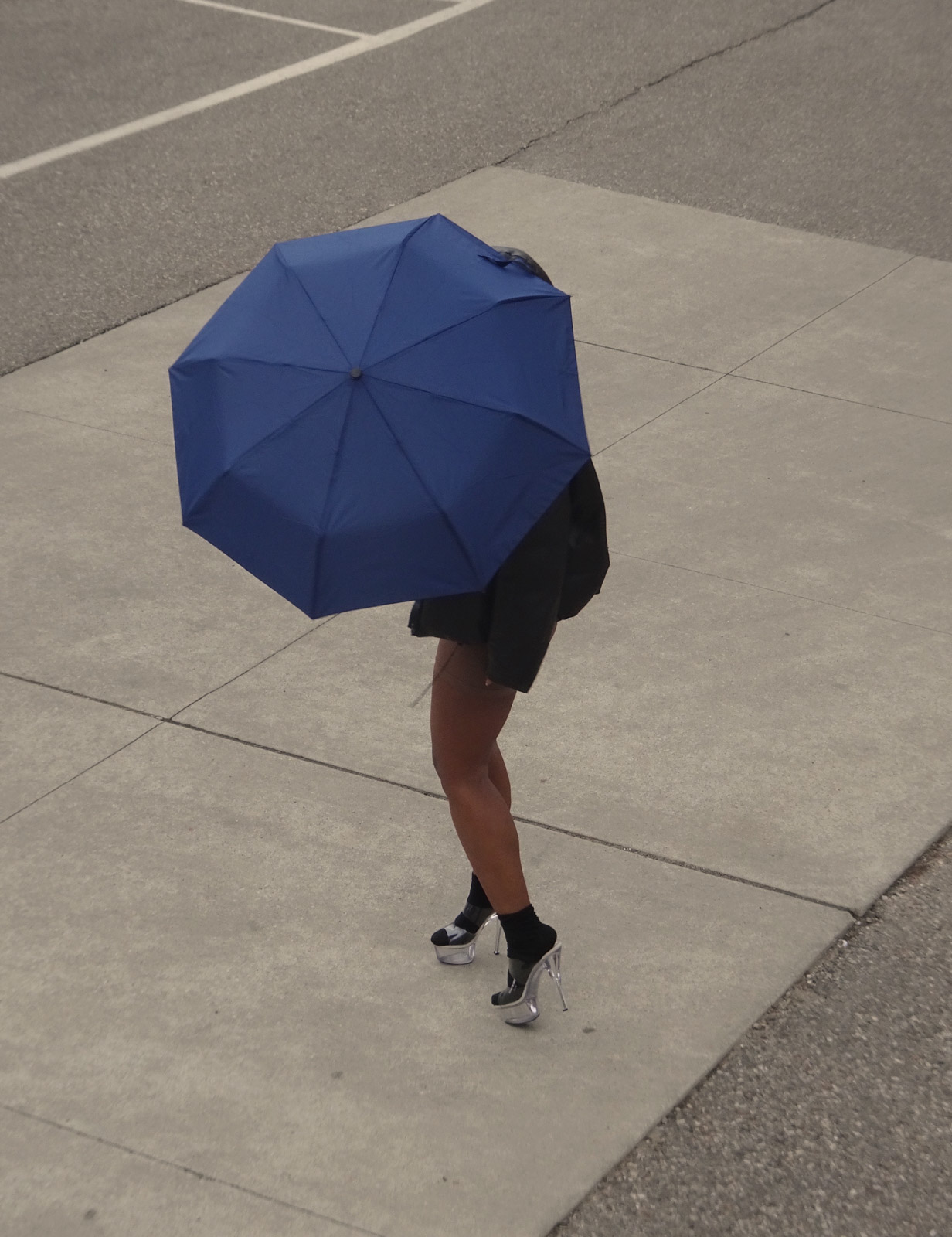 Kristie Muller’s subject is peculiarity itself