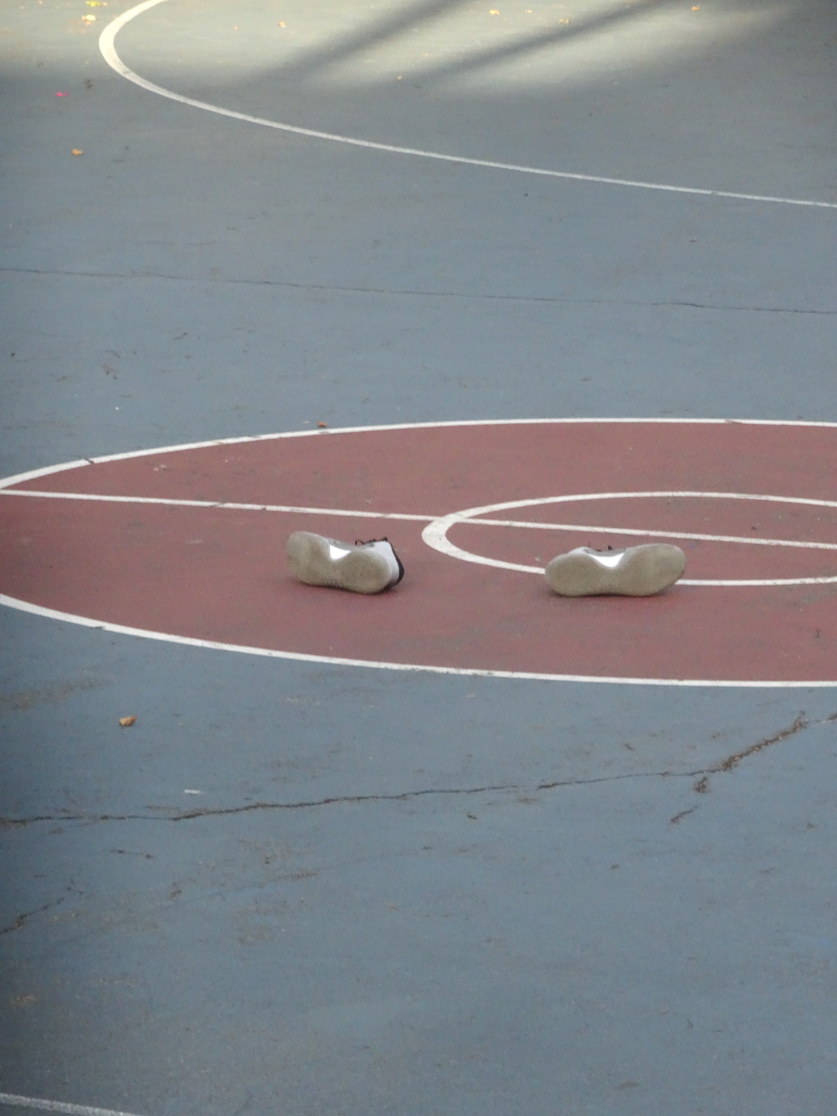 Kristie Muller’s subject is peculiarity itself