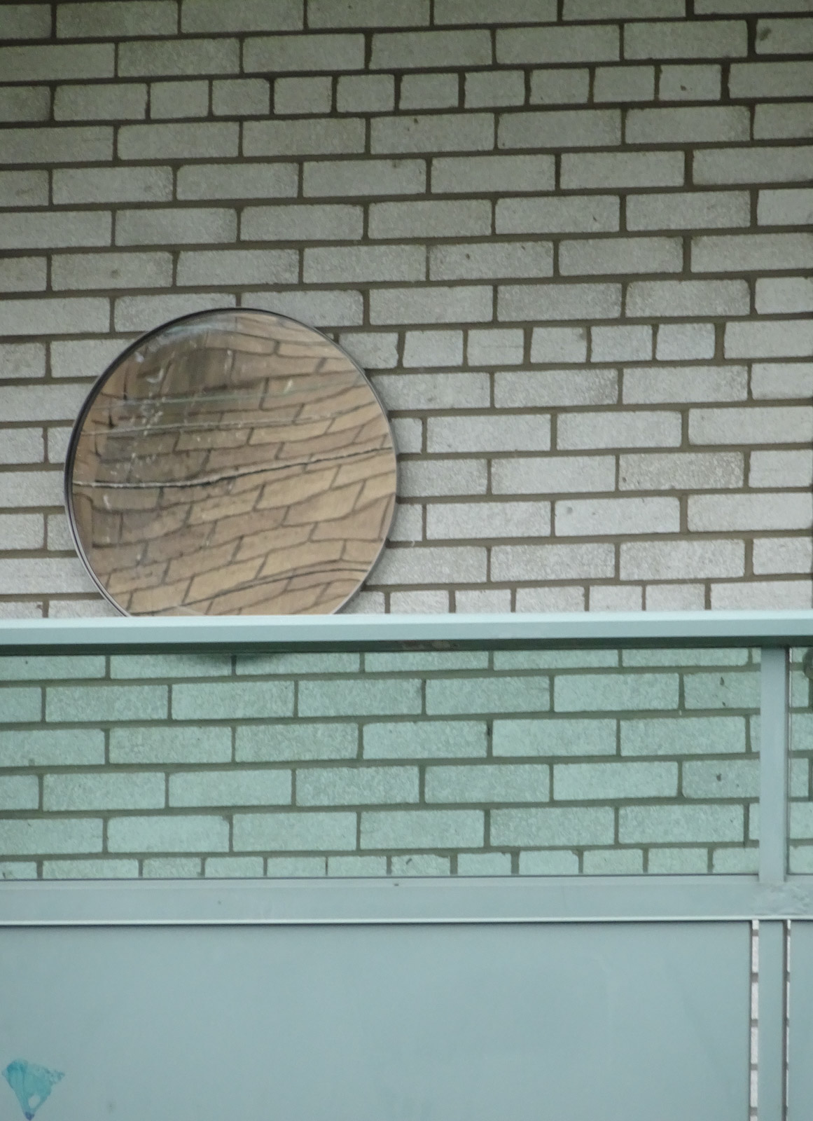 Kristie Muller’s subject is peculiarity itself