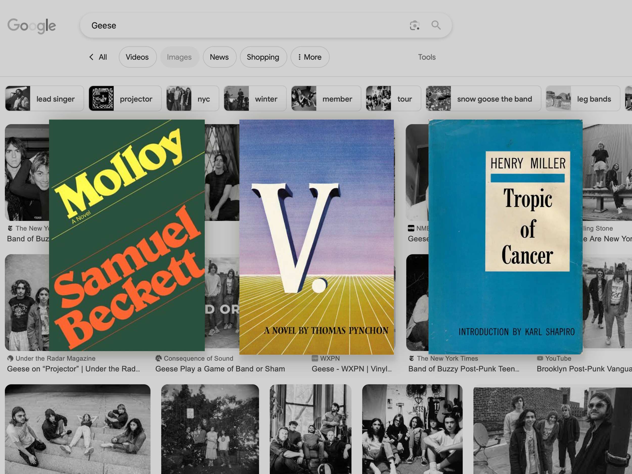 Geese’s booklist for finding nuance in nightmares