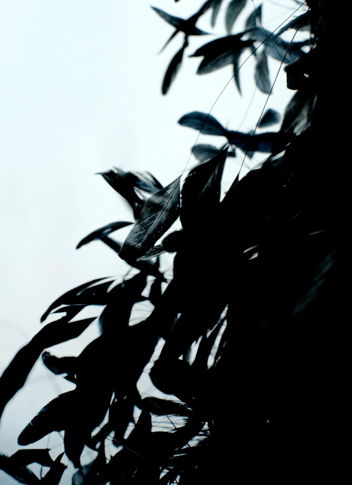 Alexandre Vauthier finds footing in purified opulence