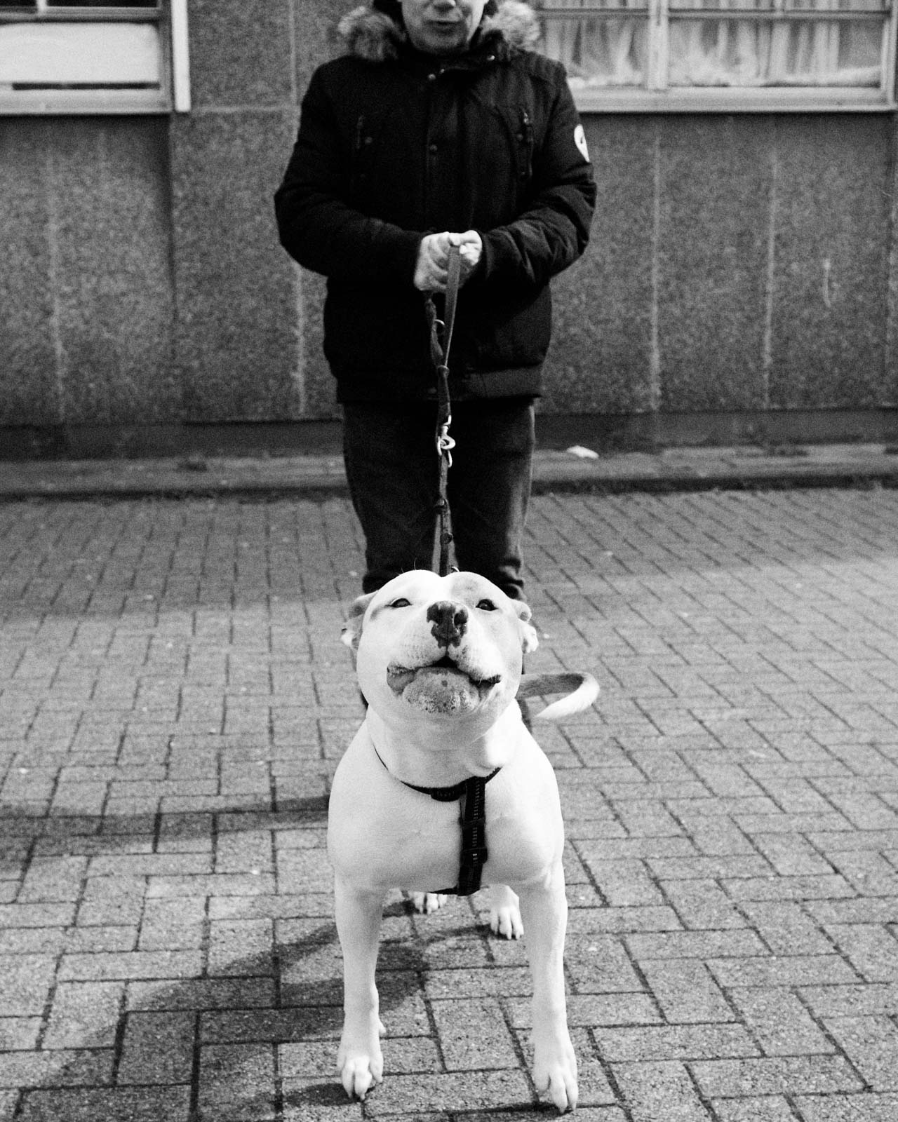 Portraits of Brussels’s free party movement, through James Brodribb’s lens